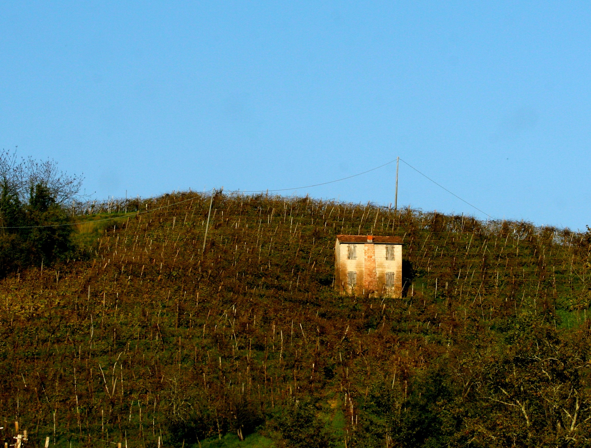 Autumn in the vineyards