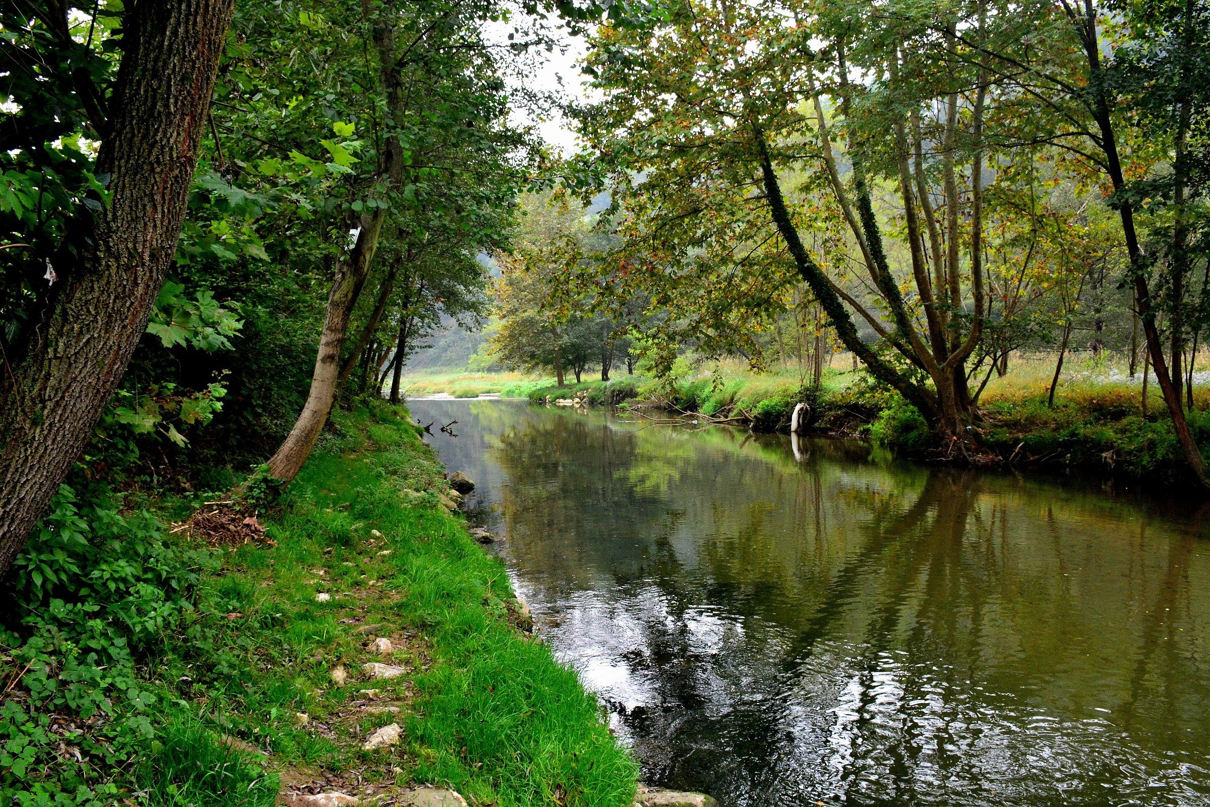 The river Olona