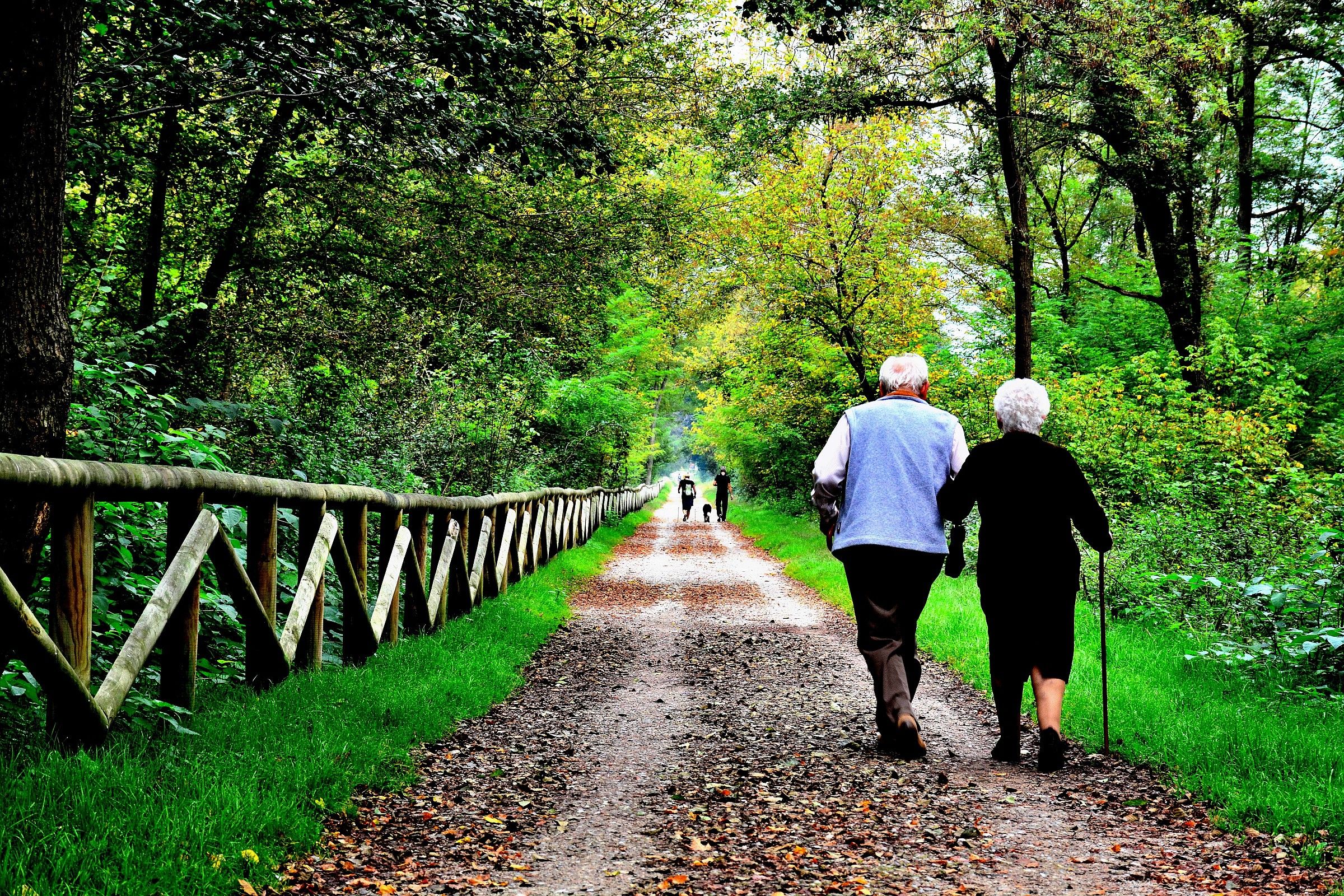 .... In the journey of our life