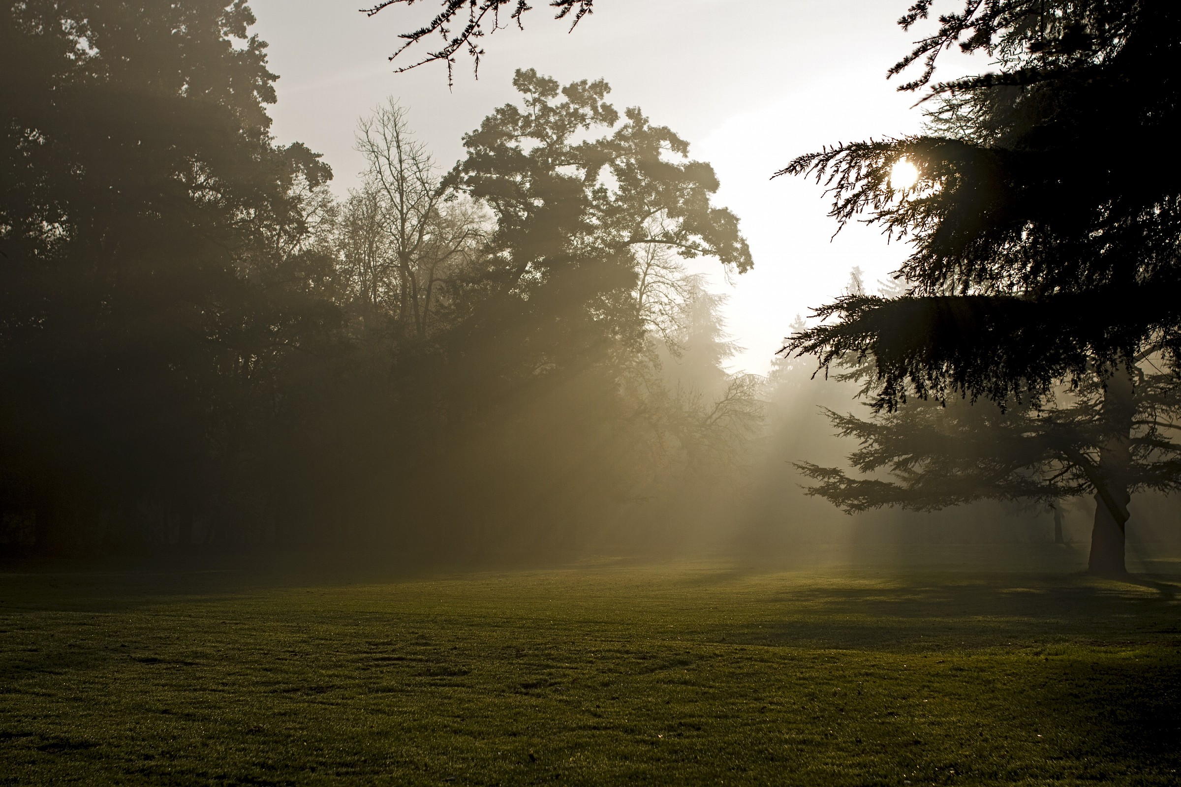 Autumn at the park 9