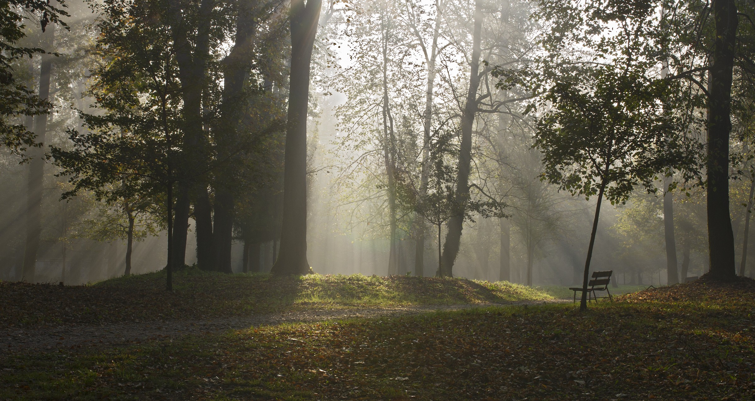 Autumn in the park 20