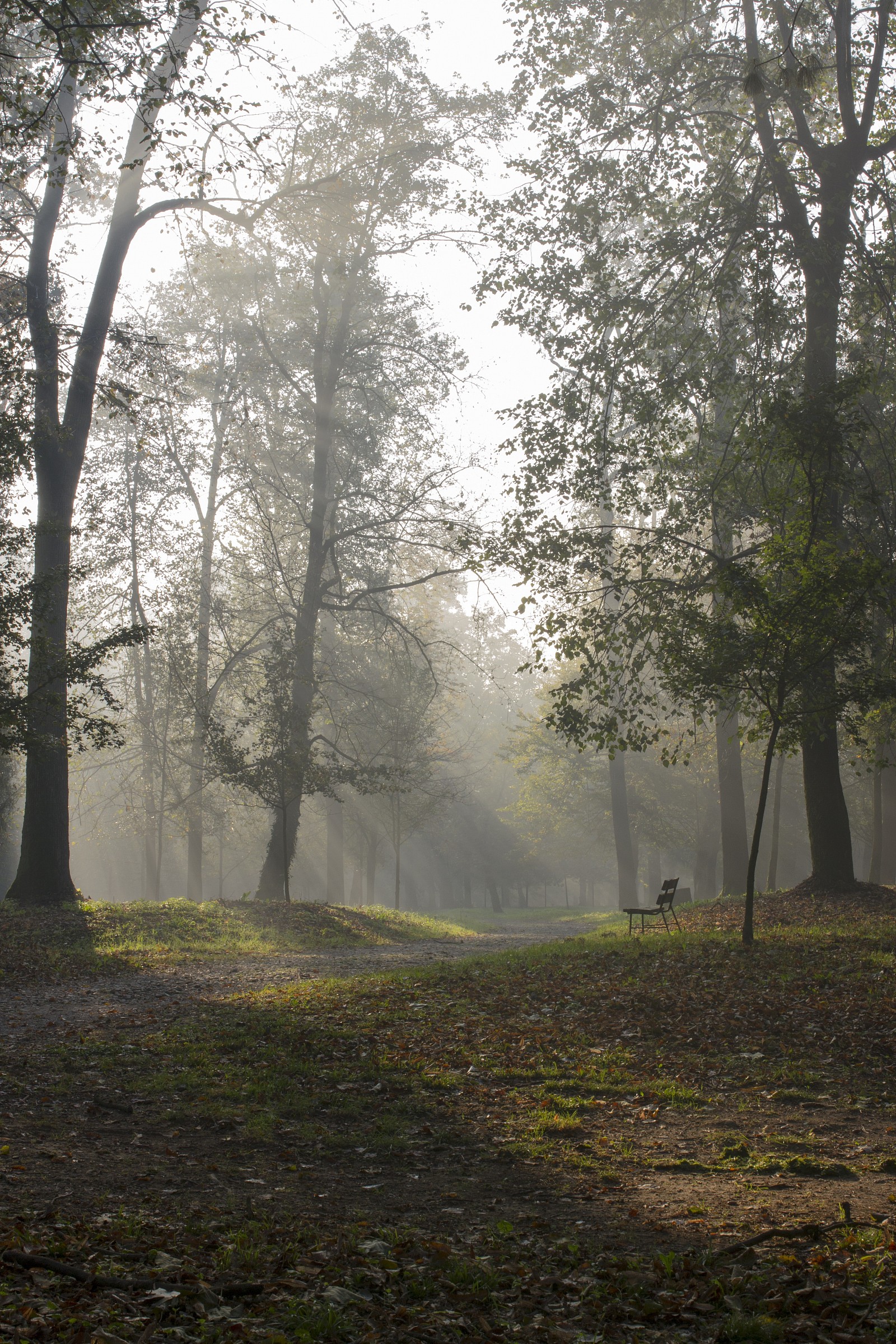 Autumn in the park 21