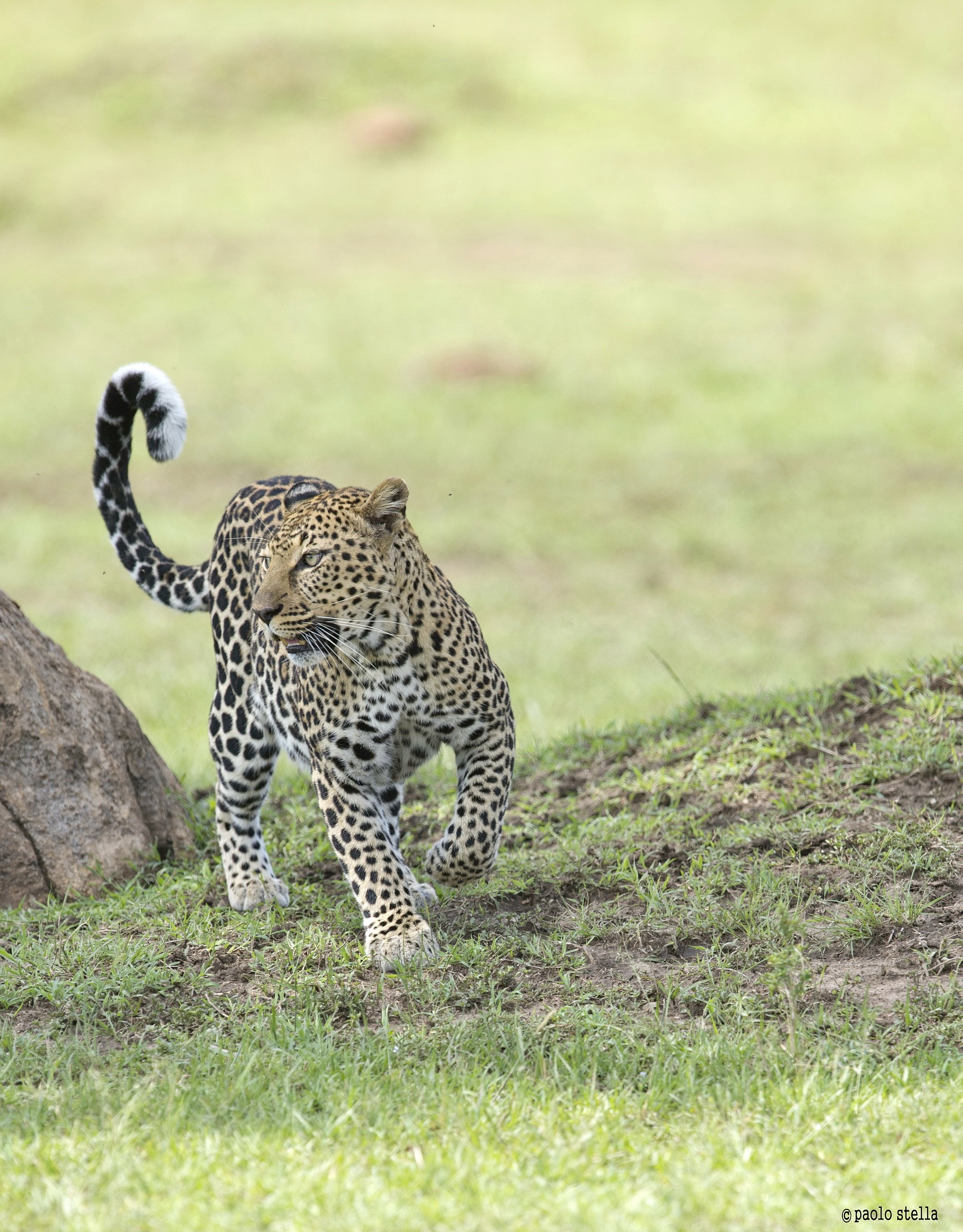 control of the territory