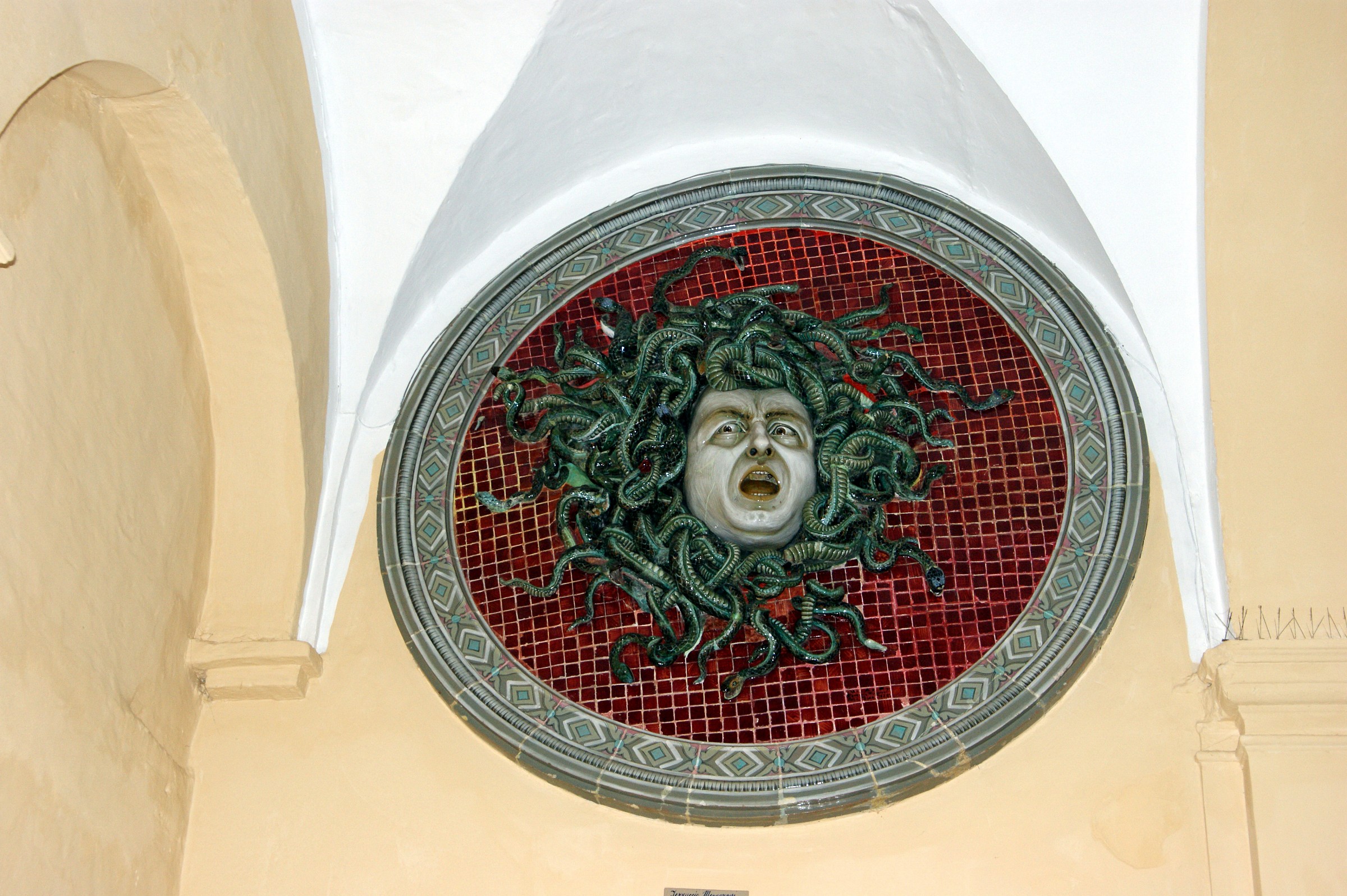 the jellyfish in Pesaro