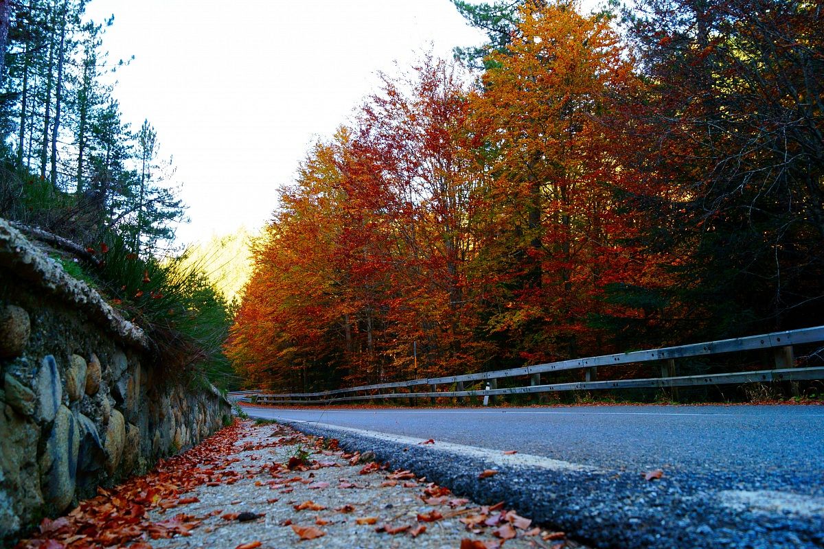 Autumn road