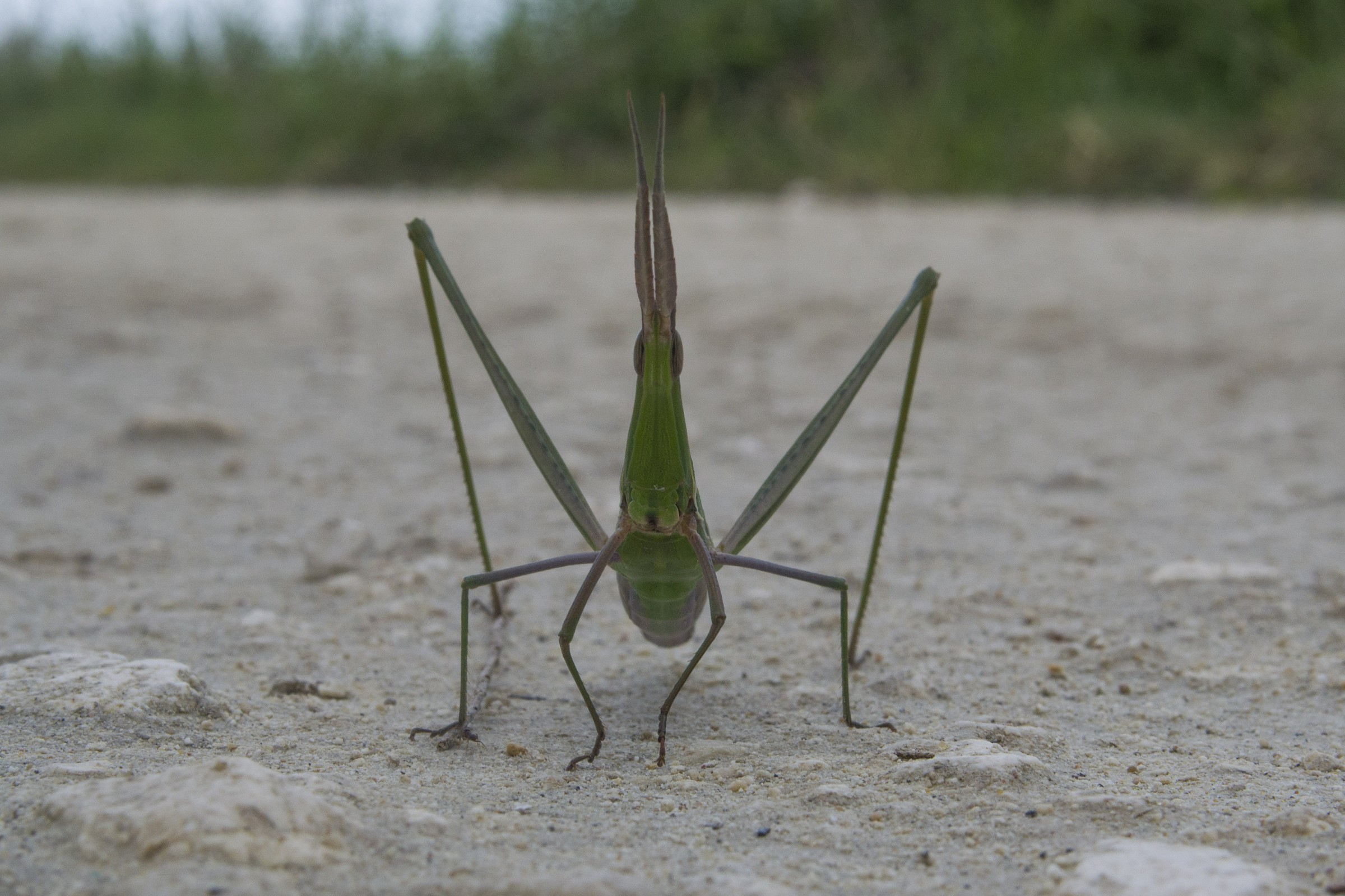 you need to look at?