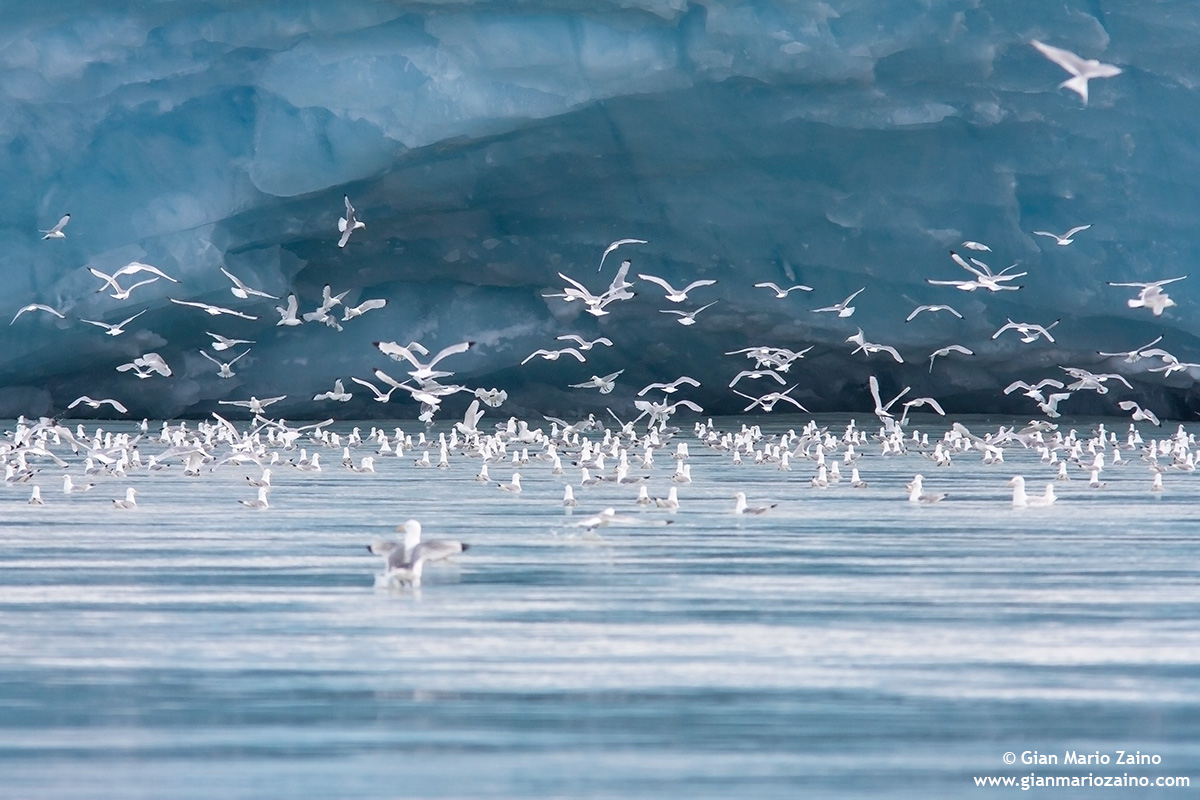 Flying in the blue painted blue ...