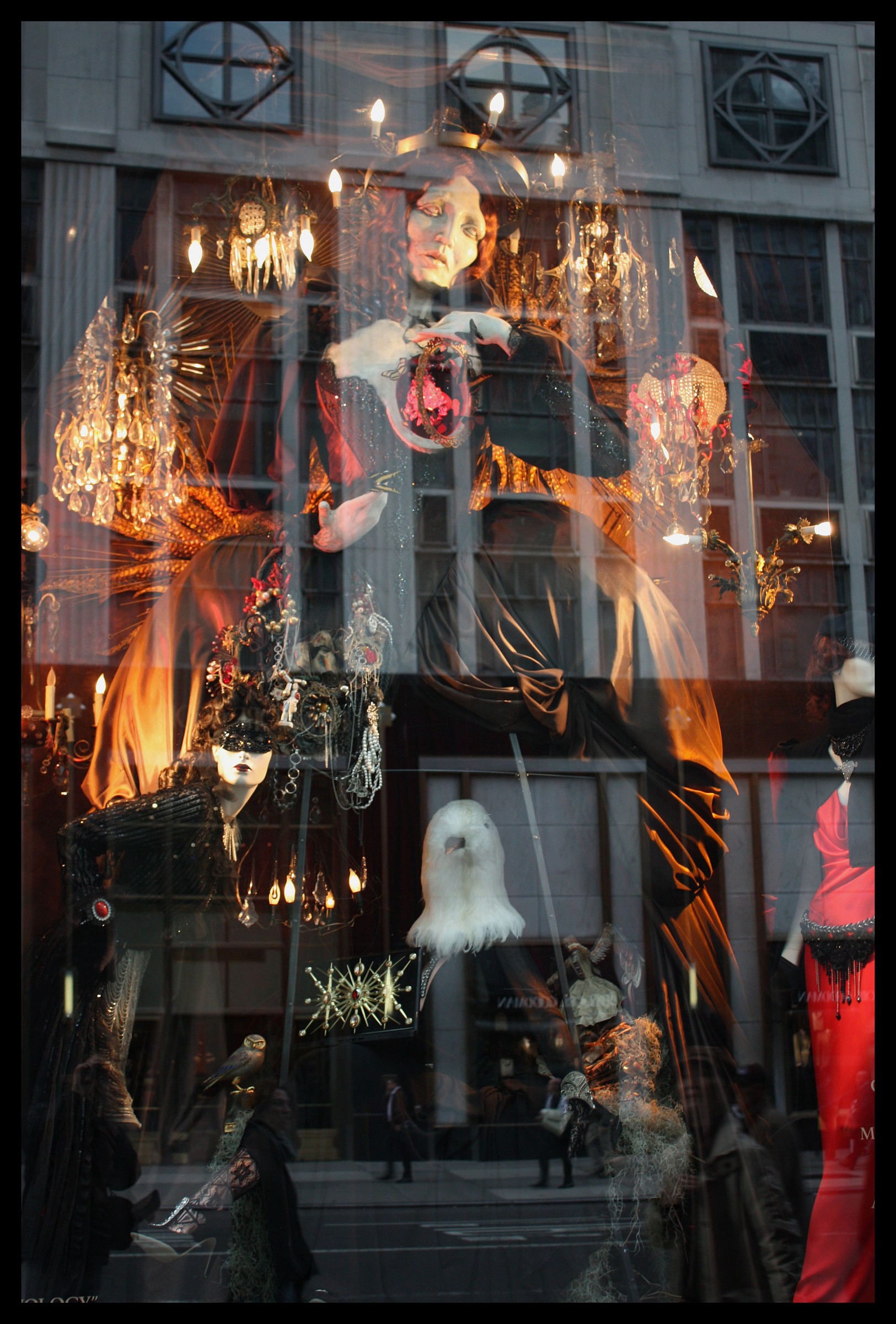 Showcases New Yorkers 1