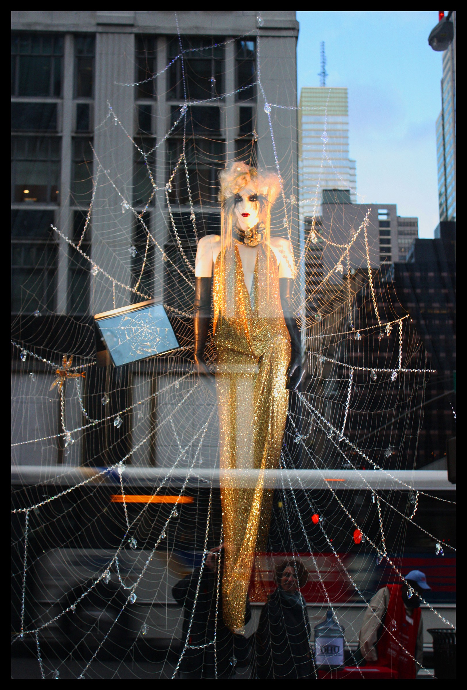 2 Showcases New Yorkers