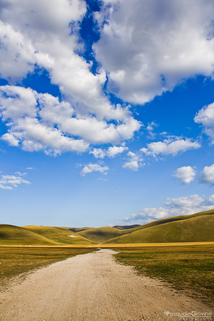 large floor - Castelluccio of Norcia