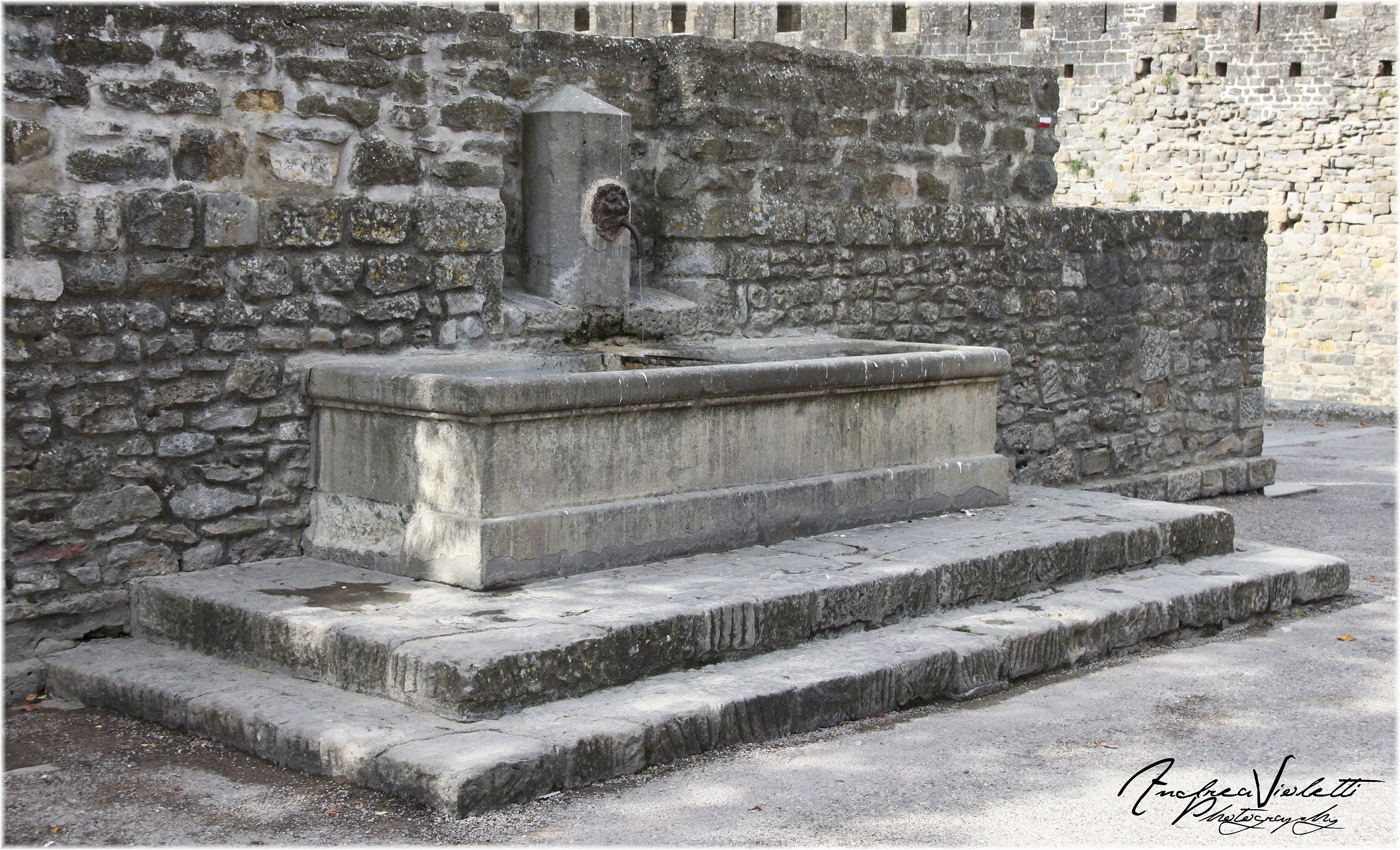 the Castle of Carcassonne