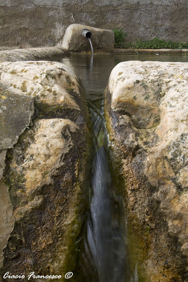 L'abbondanza fa carestia!