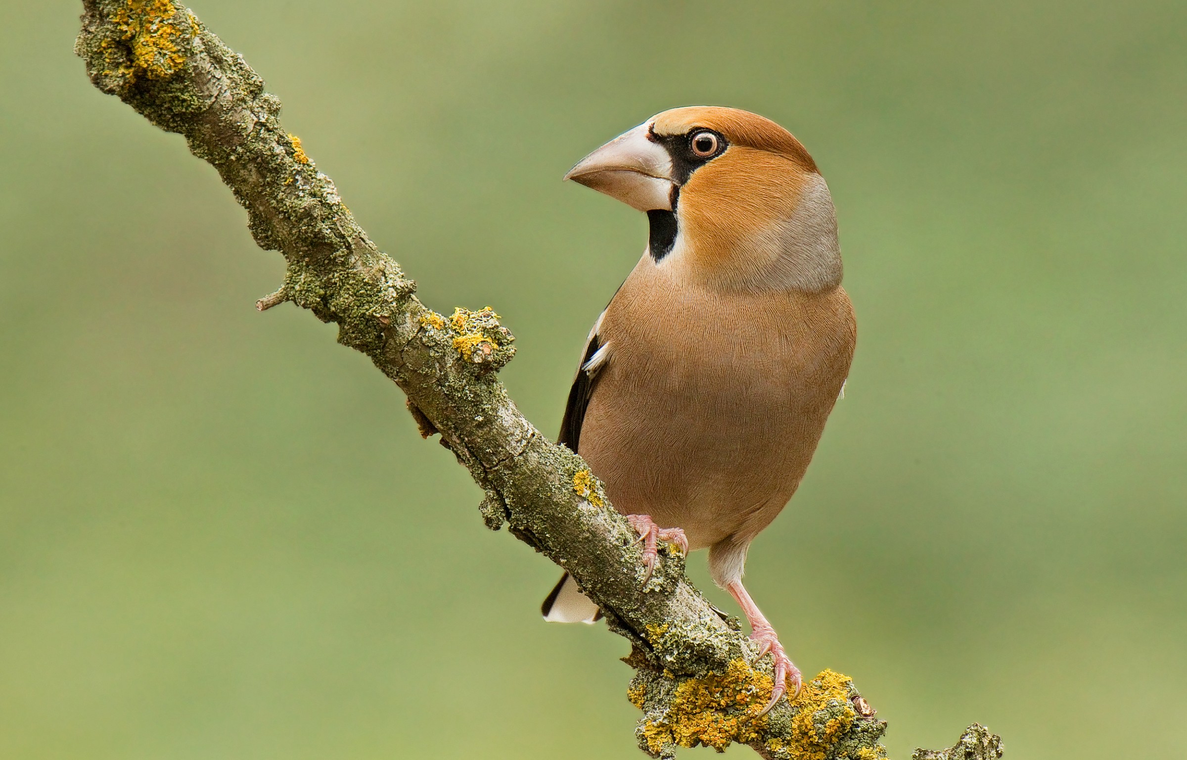 I'm keeping an eye on ...