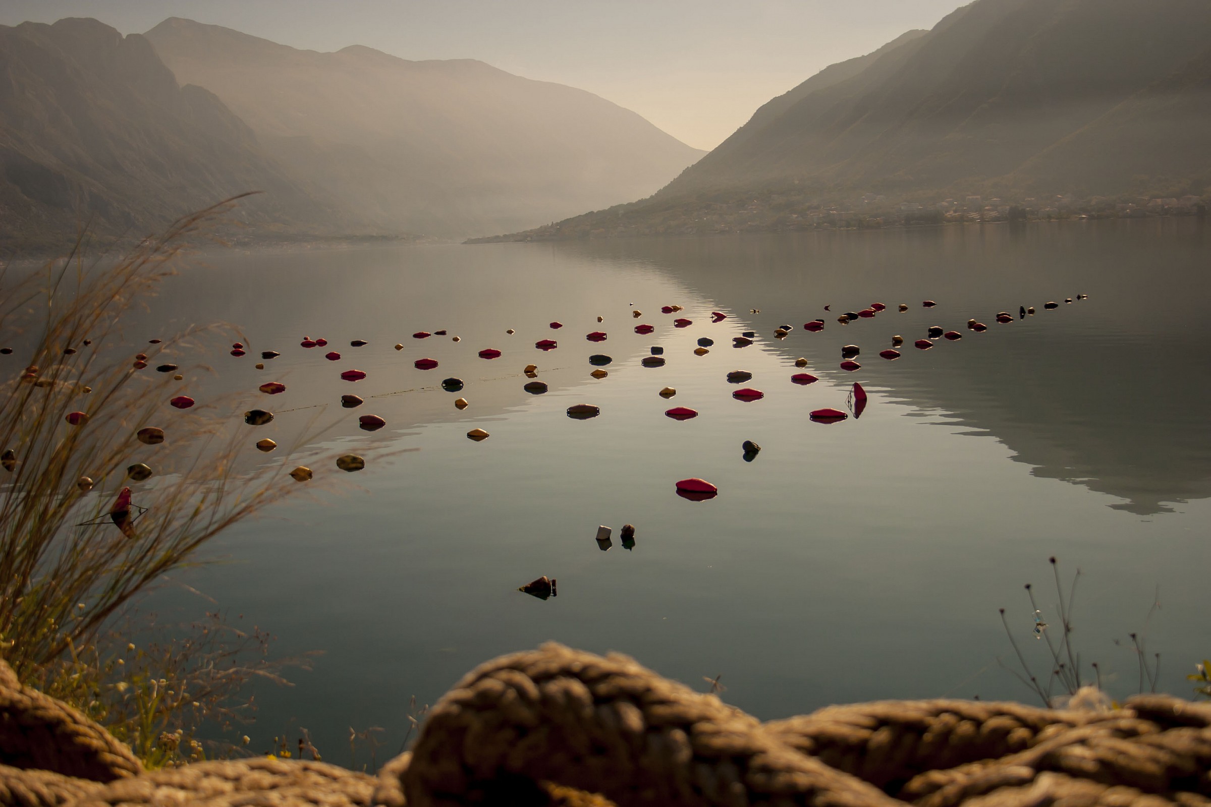 Allevamenti di cozze sulla strada verso Kotor...