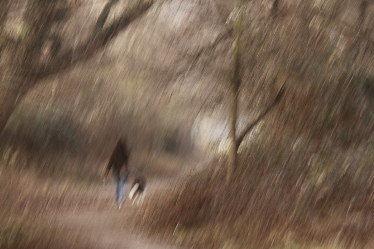 Ragazza e cane a passeggio