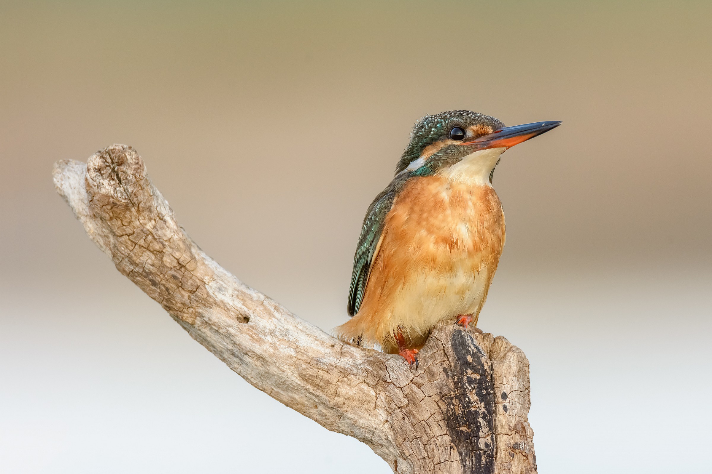 Immersa nei suoi pensieri....