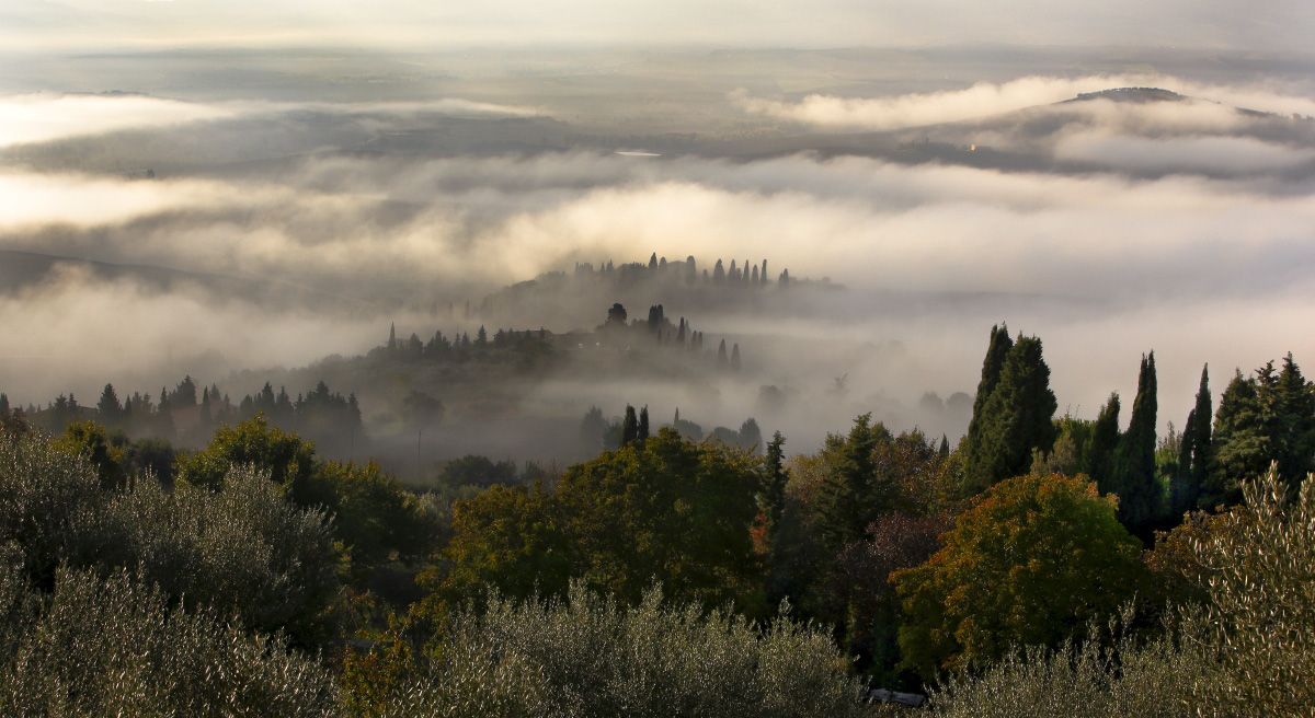 Sveglia! ch'è tardi.