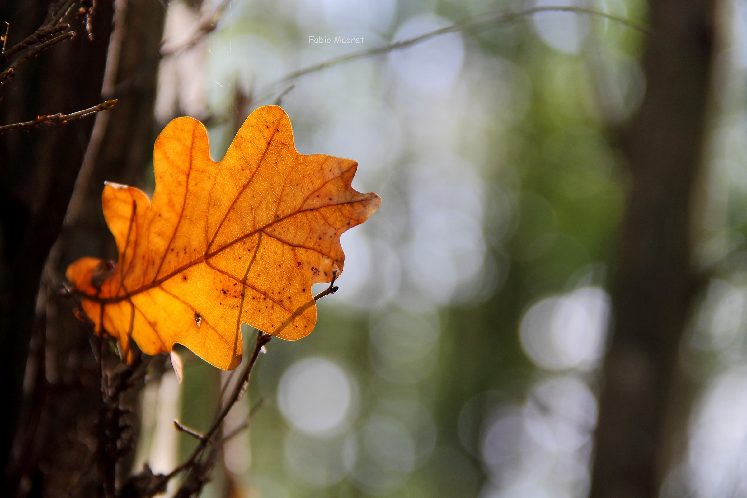 I do not I fall ..... resist ....