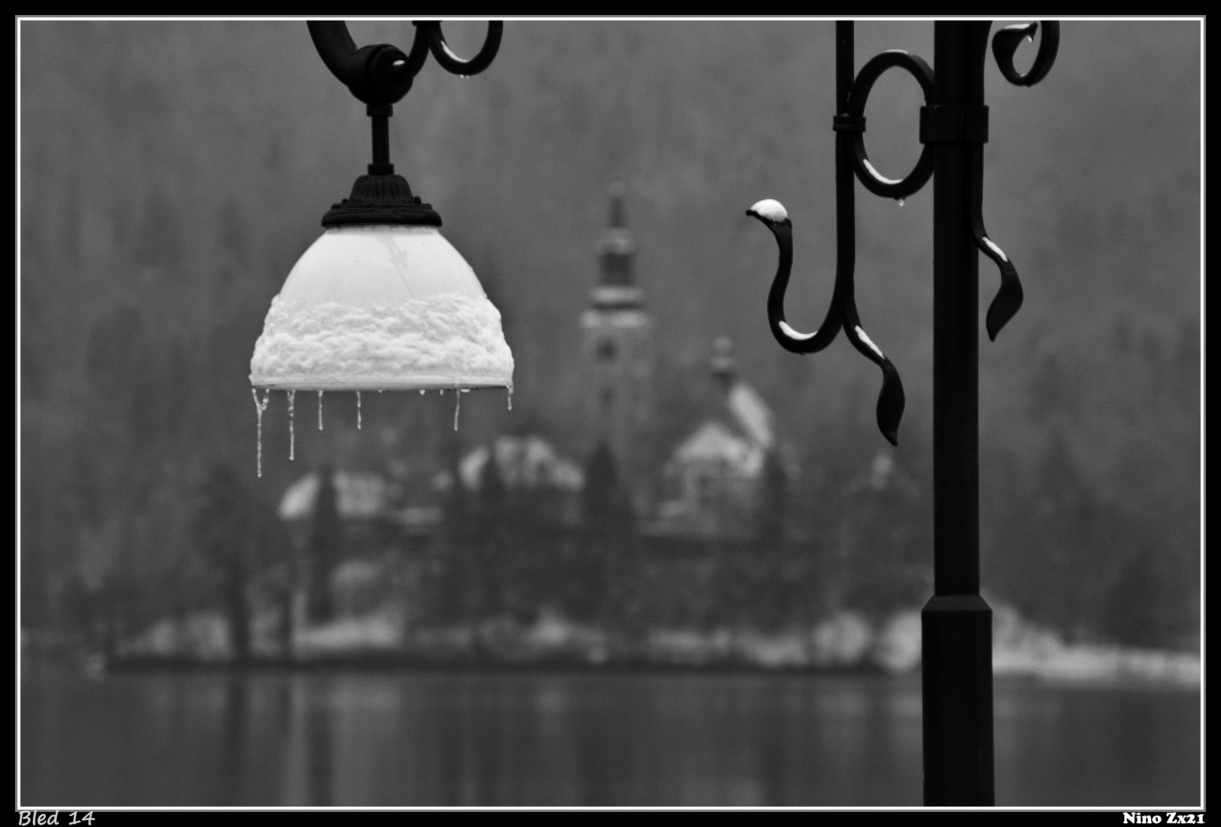 Remembering Bled