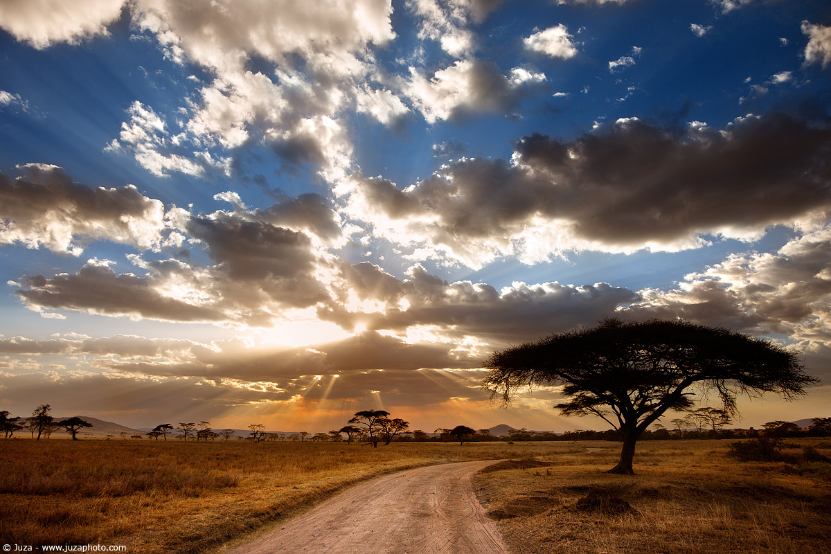 Tramonto sul Serengeti, 008259