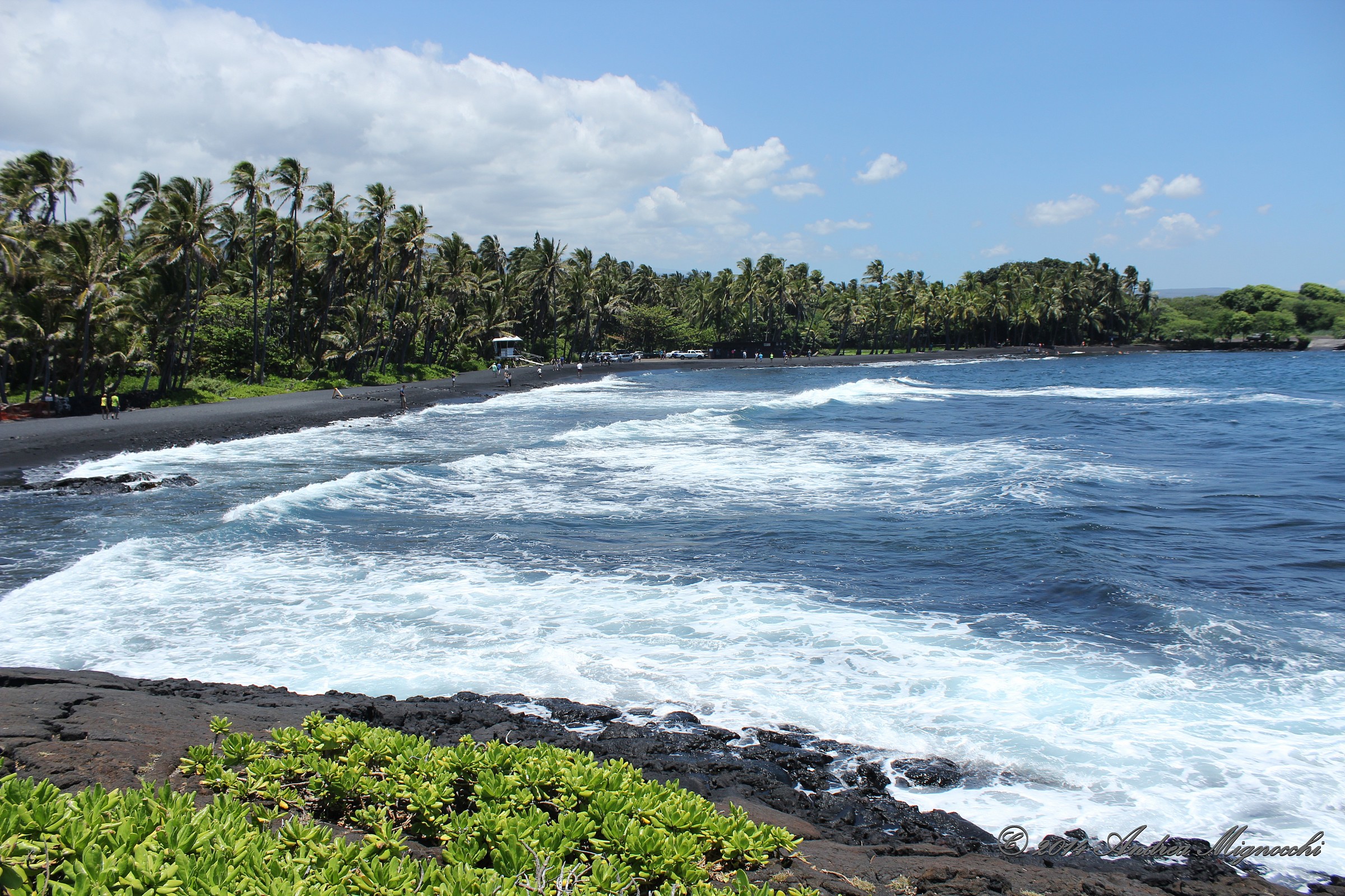 Punalu'u Black Sand Beach