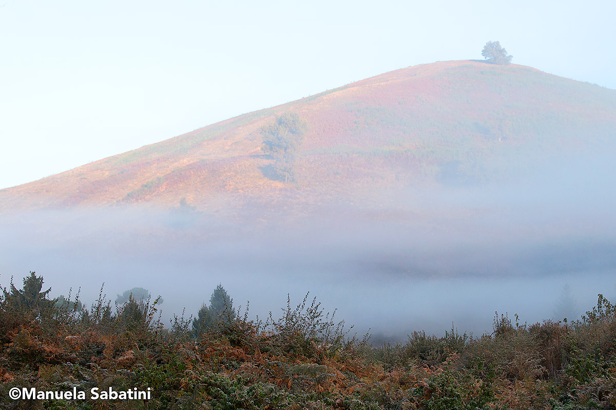 I colori dell'alba...
