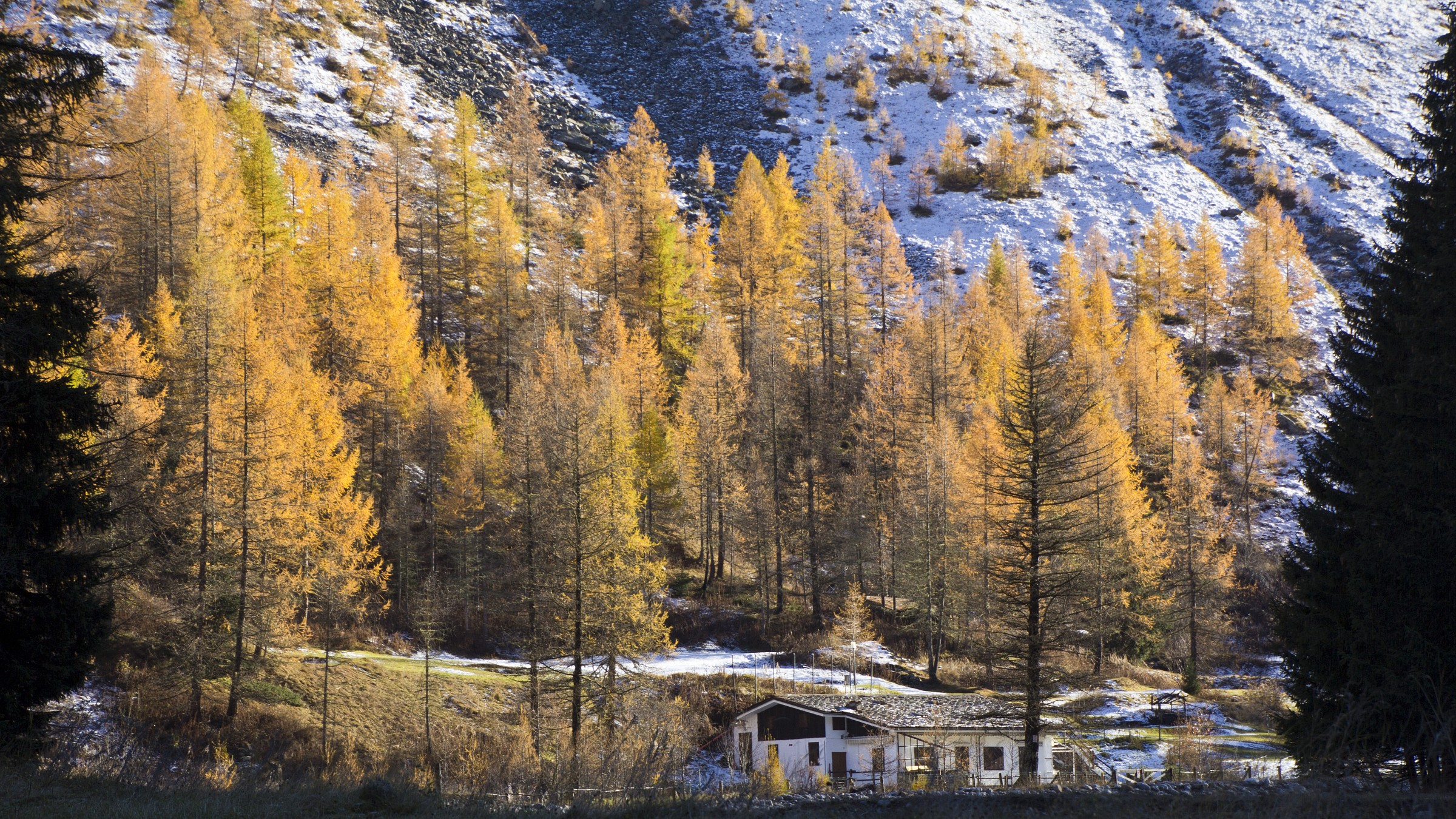 Autumn in Val D 'Aosta