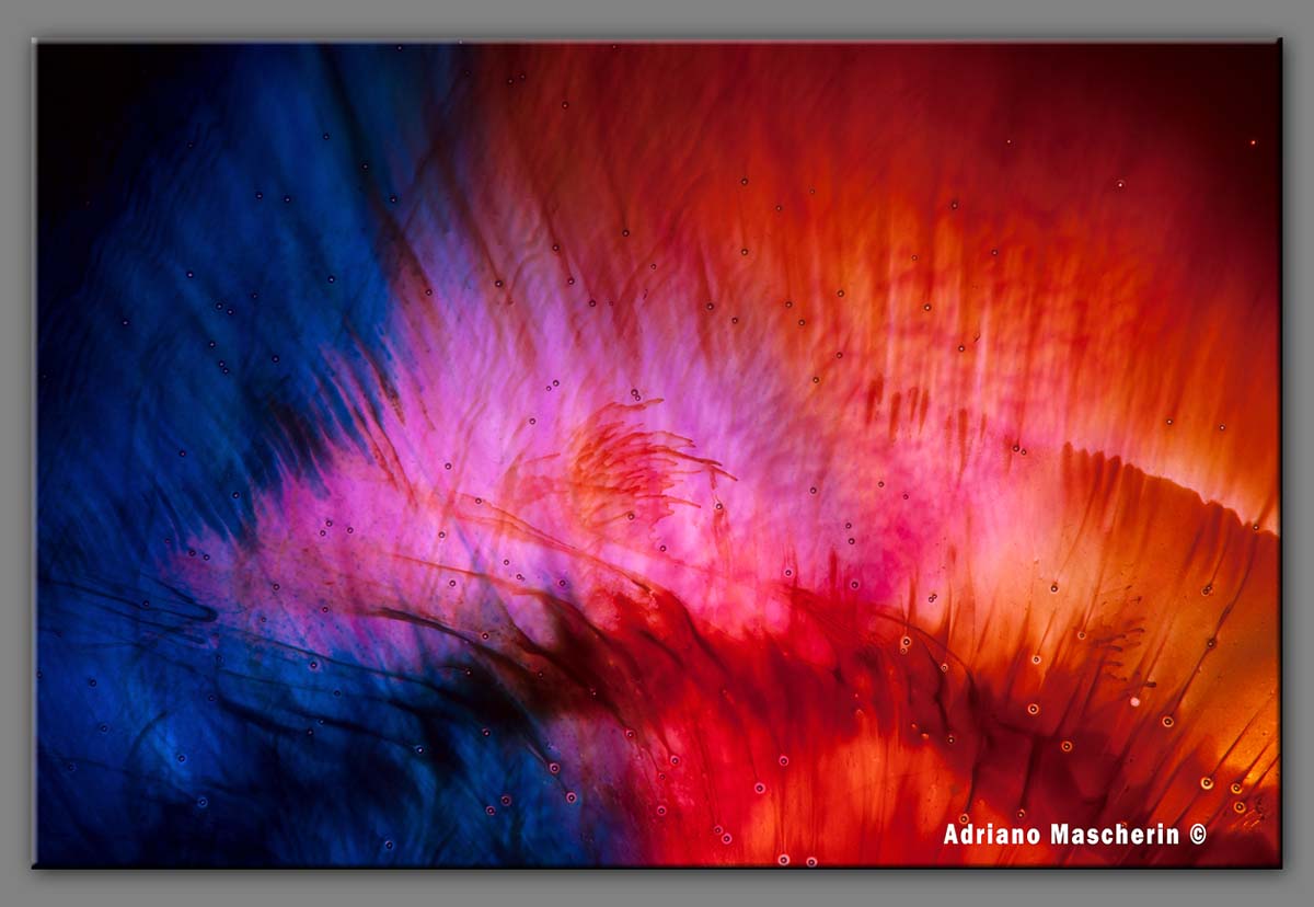 Al centro della nebulosa