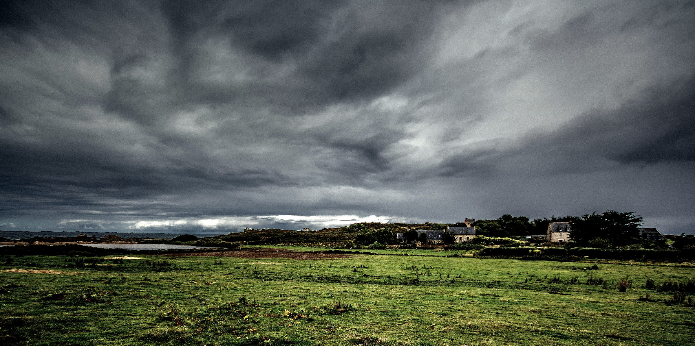 gray and green...............