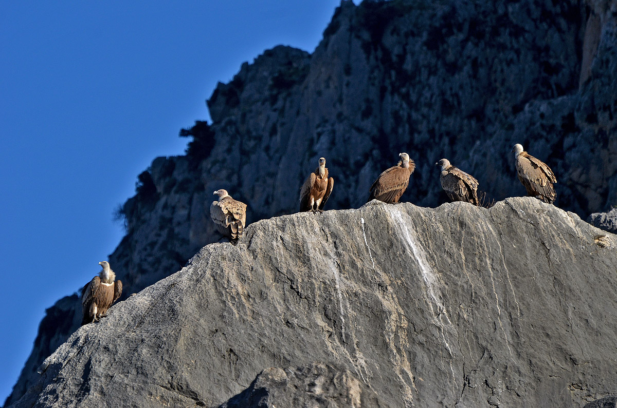 E adesso...tutti in posa per una foto di gruppo! Fermi.