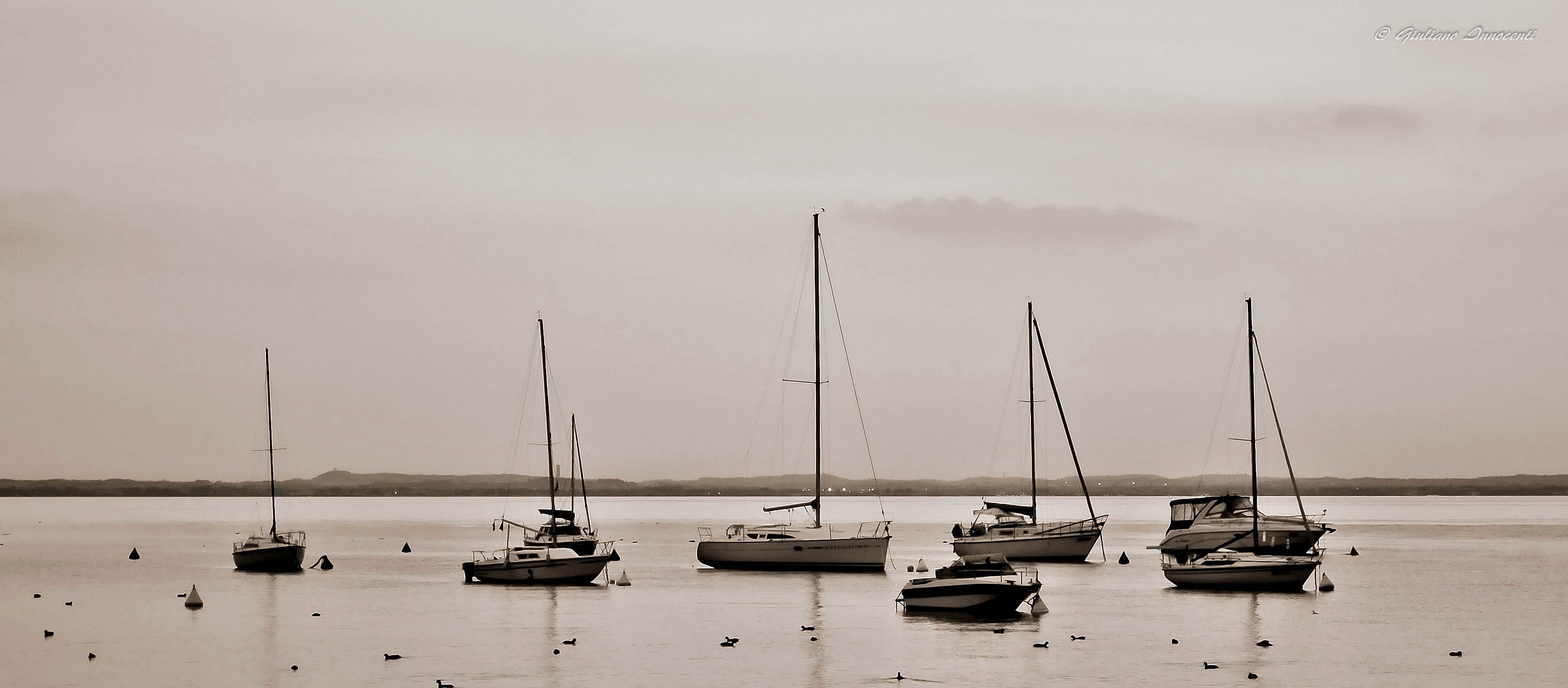 rainy day at the lake