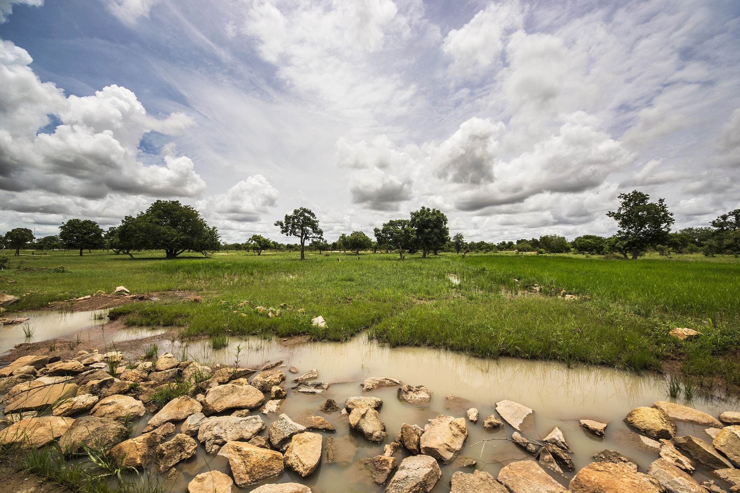 Burkina Faso Landscape
