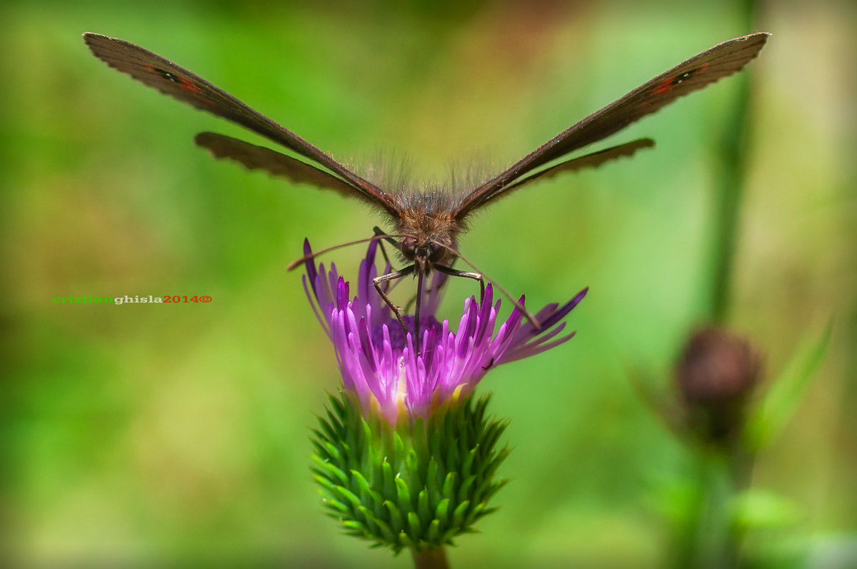Pronta alla partenza