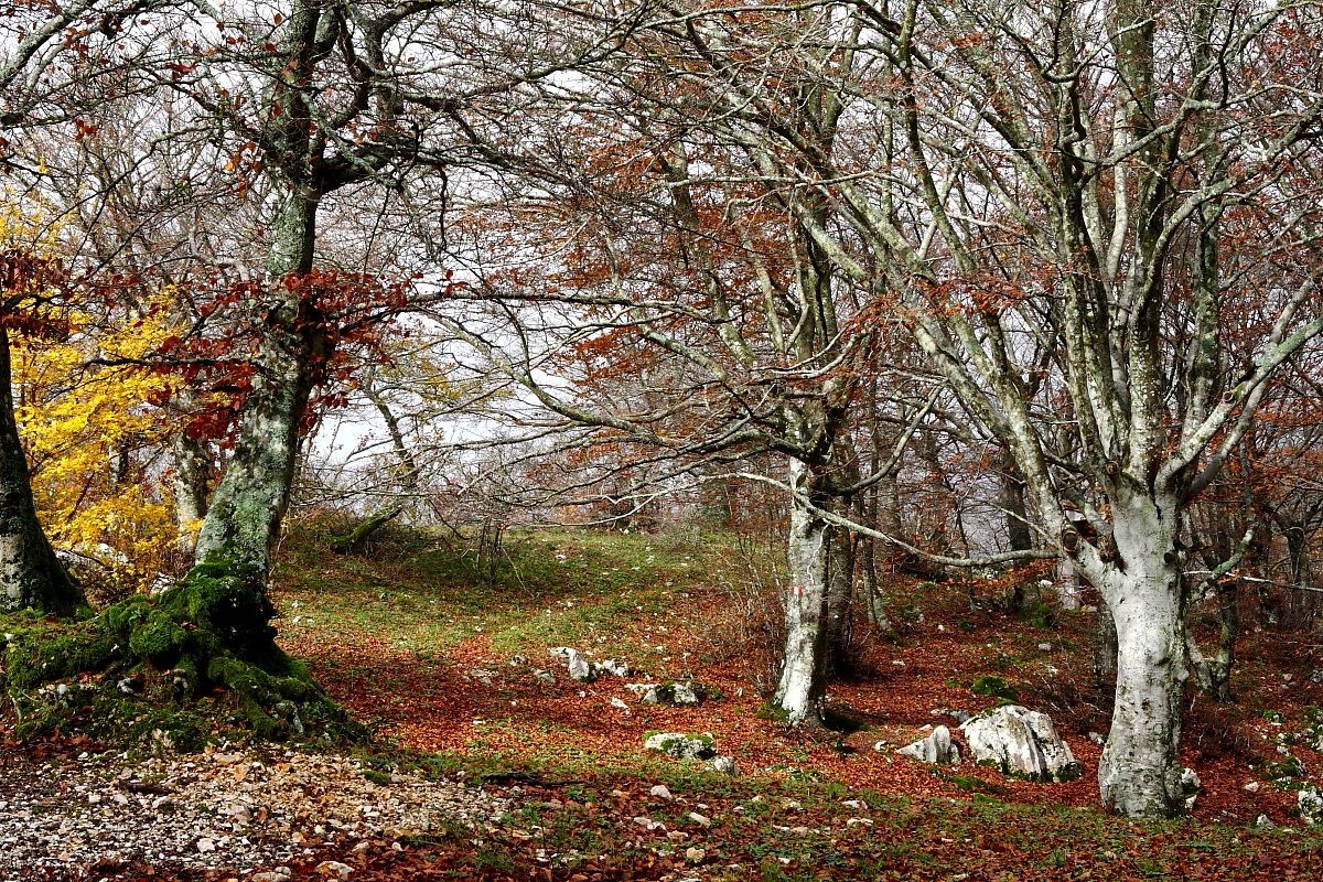 Montecucco ... a few meters away