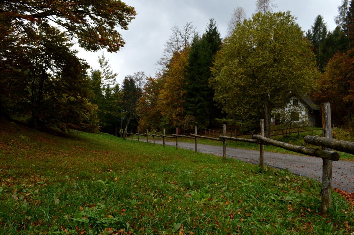 Autumn Road - Step Daone - Pra 'of the Asan