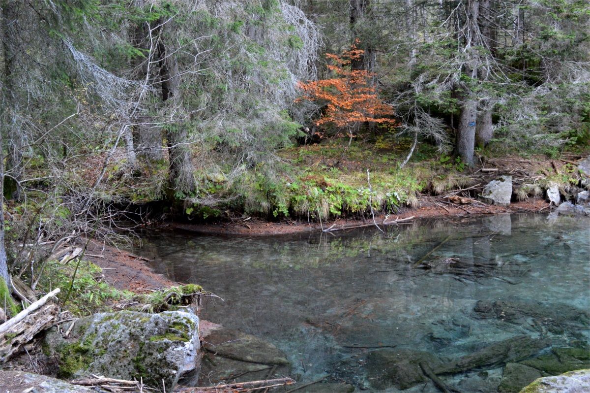 Autumn colors on the Sarca of Nambrone