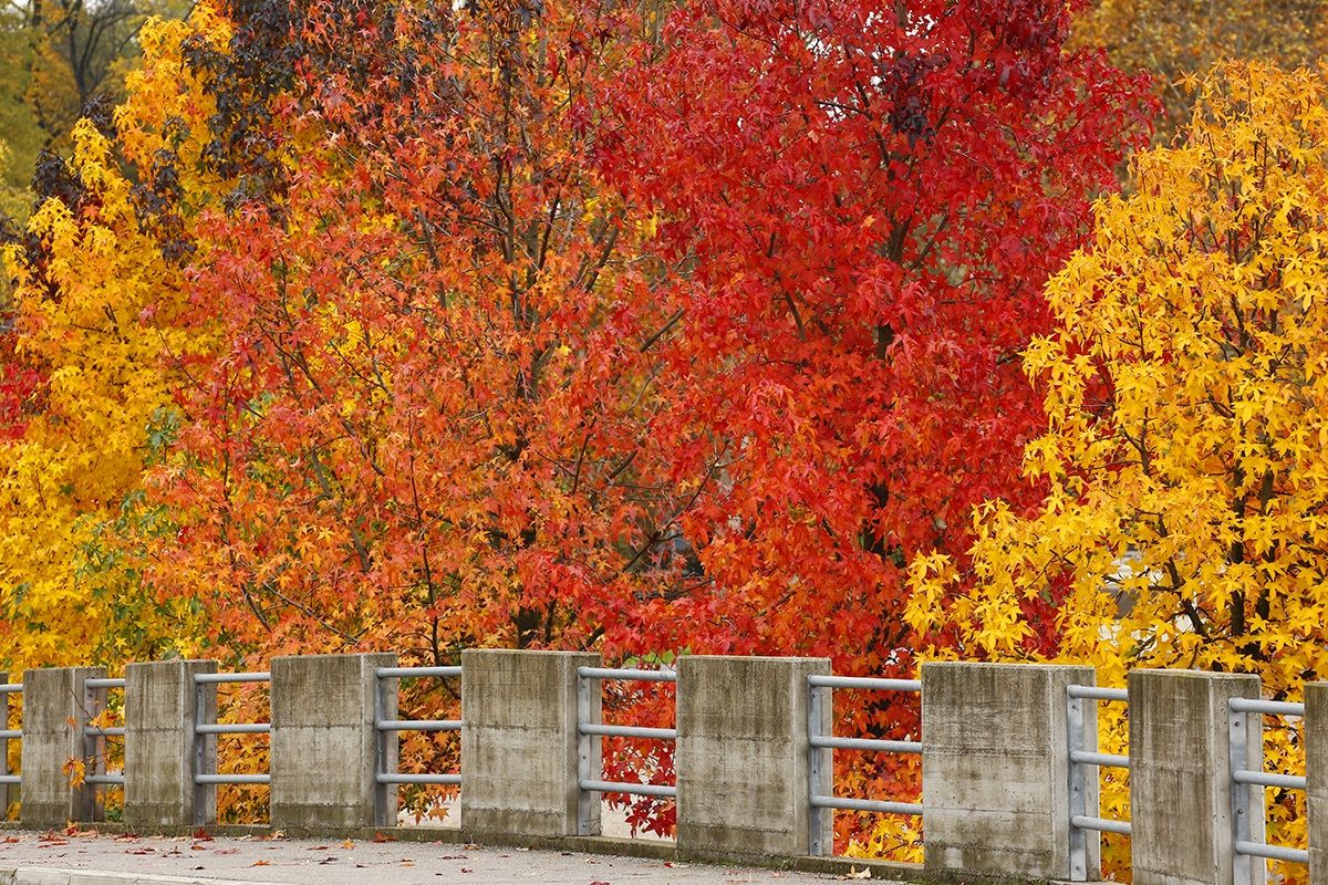 Legnago (vr) - Vermont (Fall 2014)