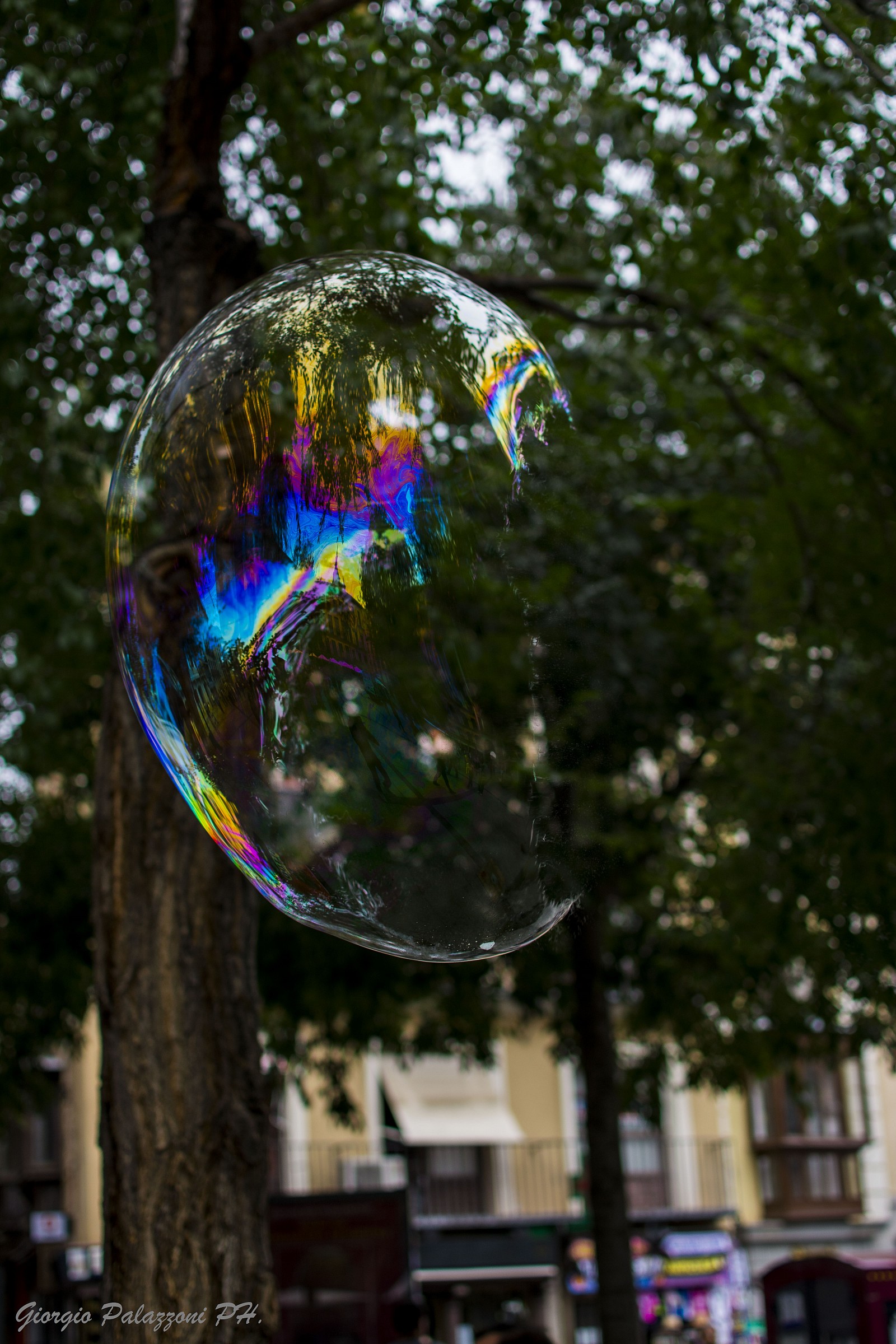 When you say "Burst of Color" ..