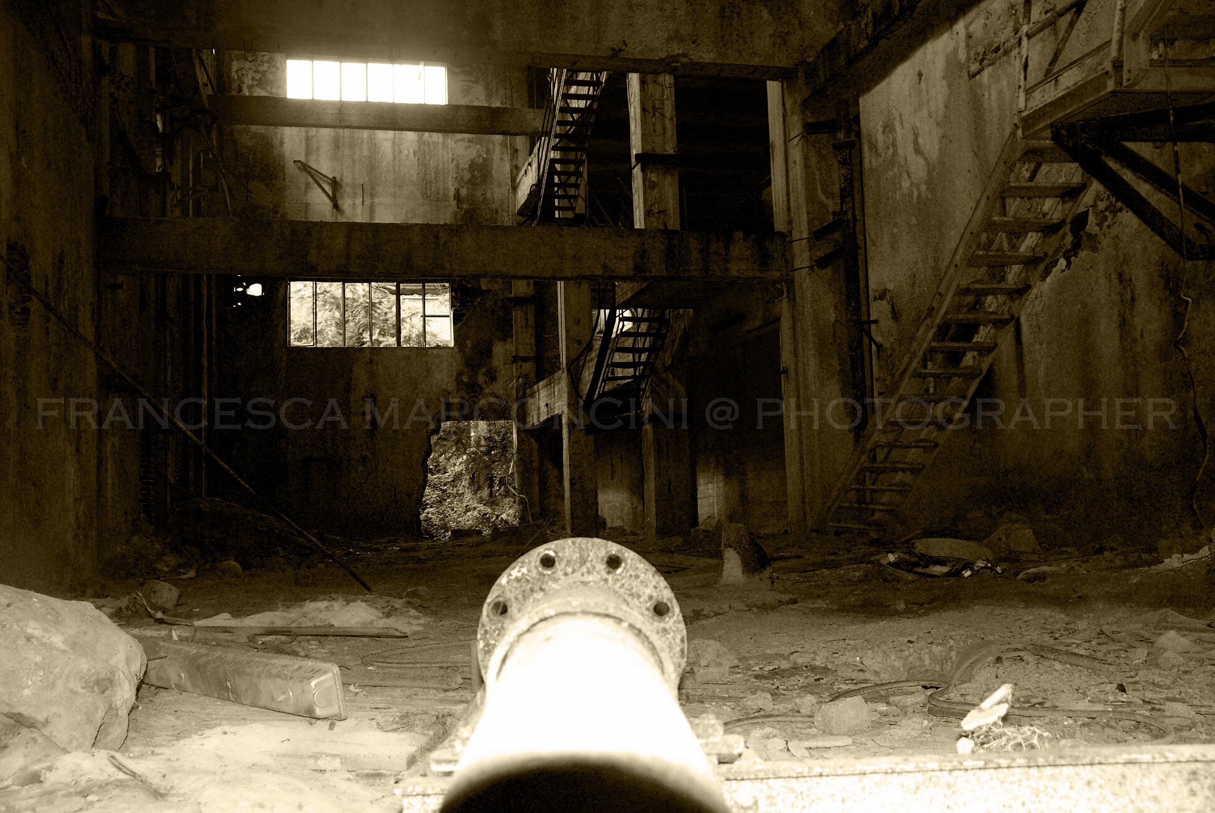 Abandoned paper mill - Life Meyer