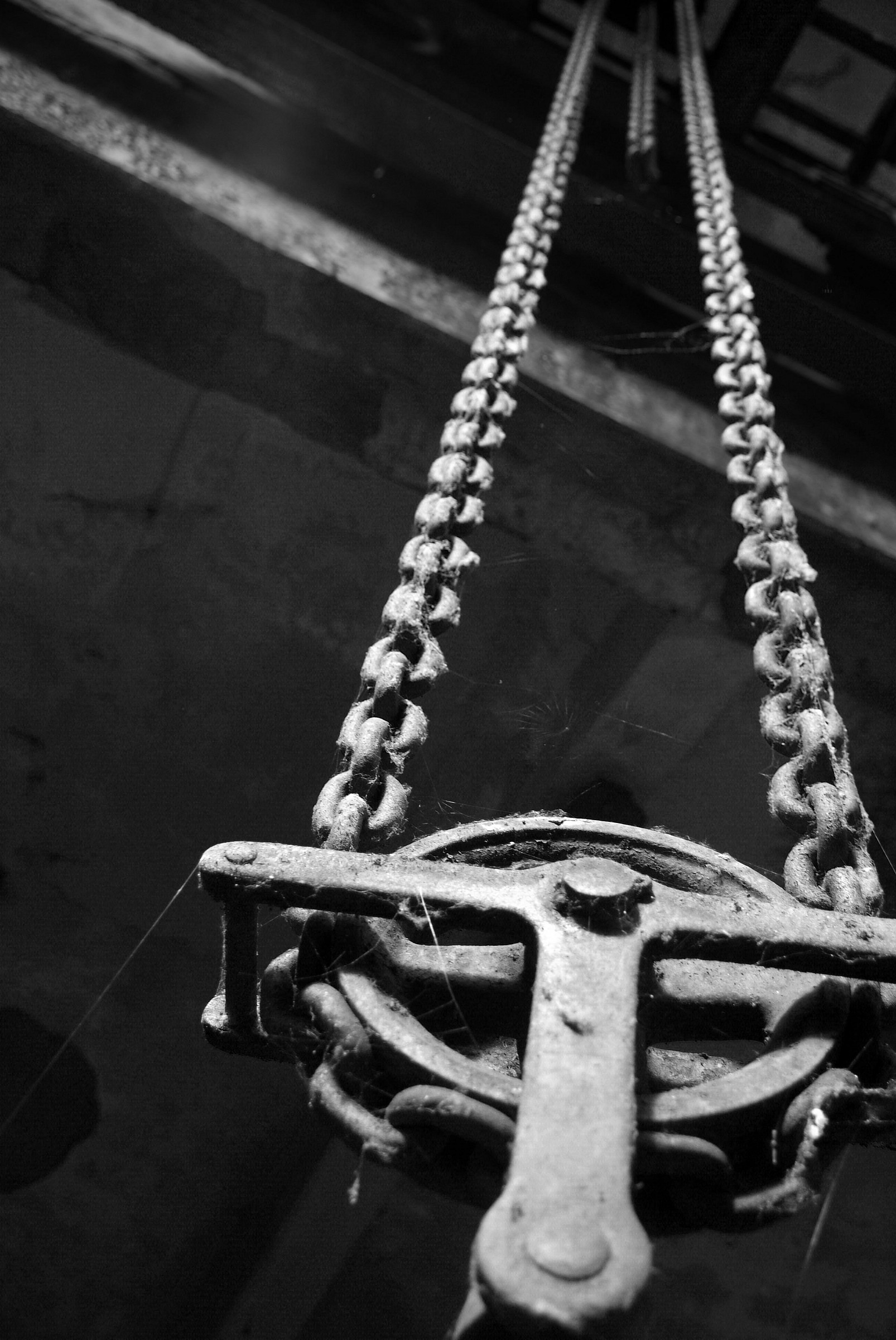 Abandoned paper mill - Life Meyer