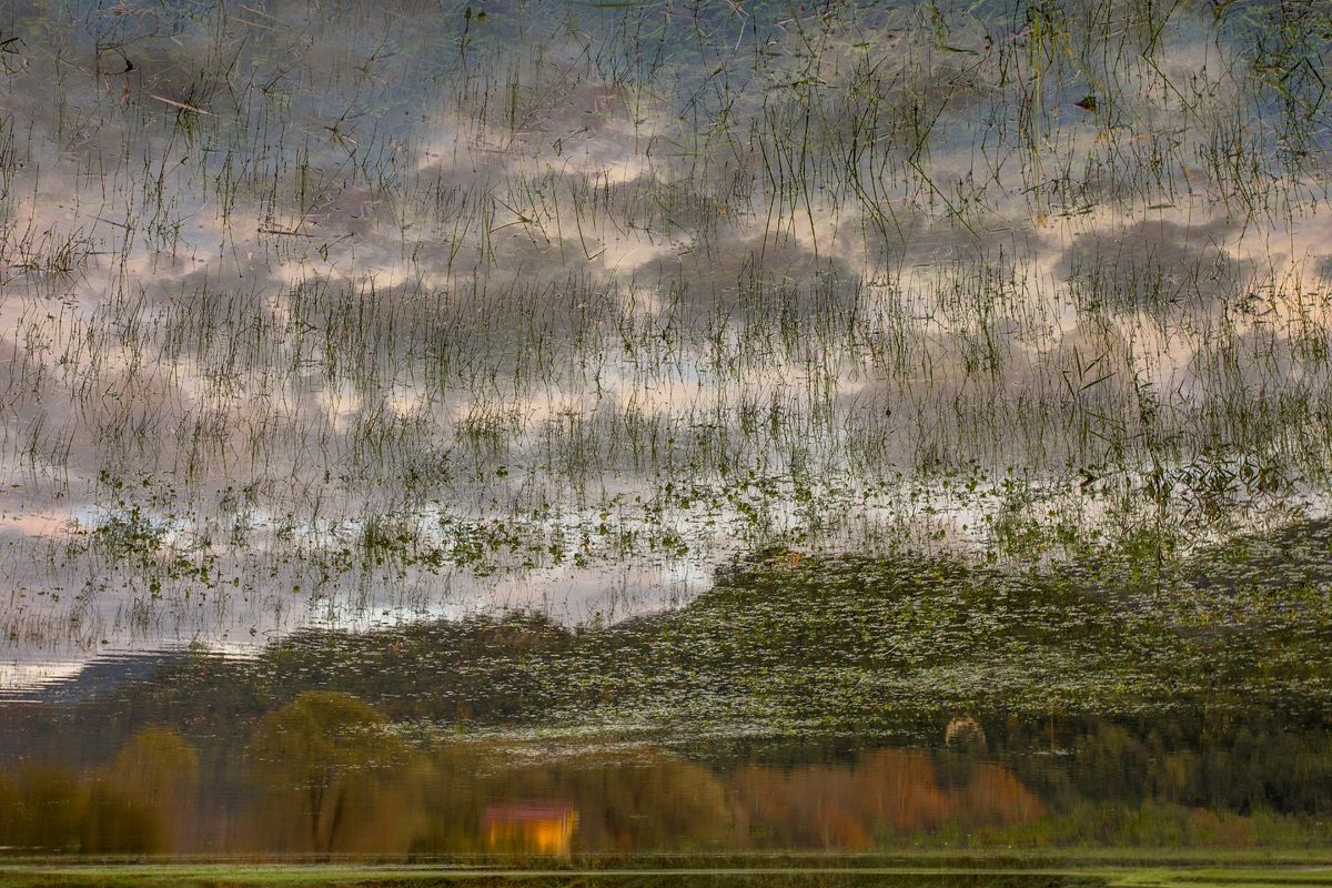 Picturesque Reflections ....