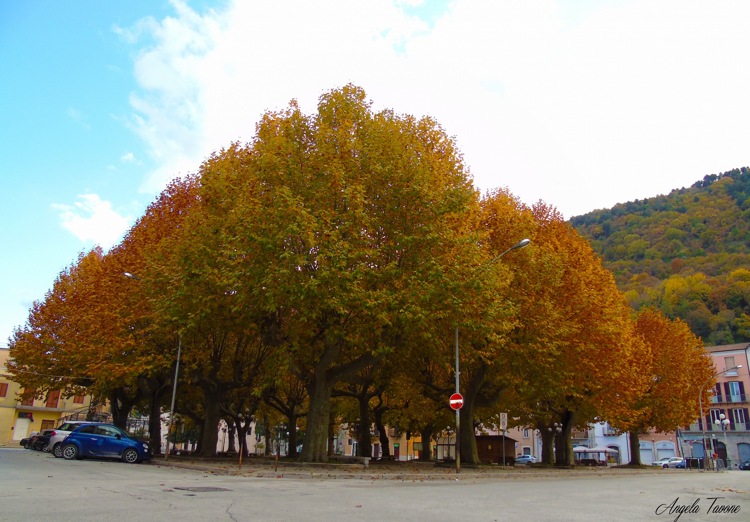 Piazza Roma (Molise)