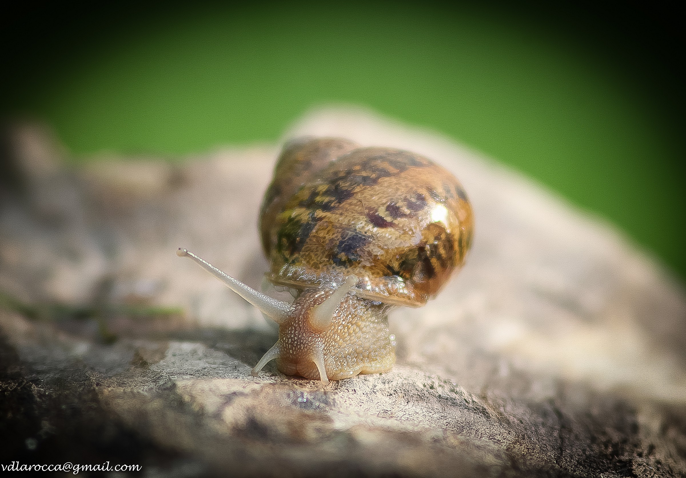 ... Healthy and away.