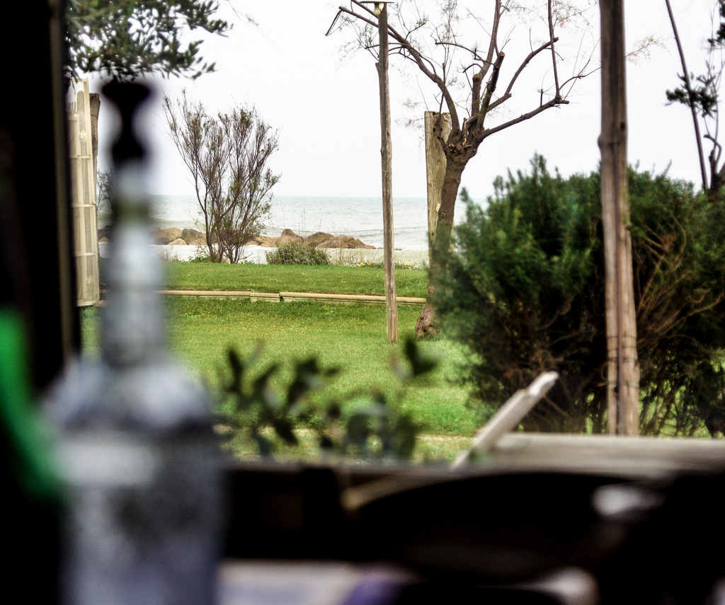 the sea of ??November 1