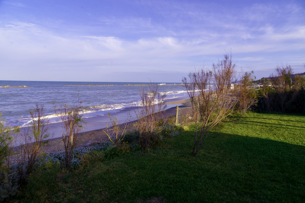 the sea of ??November 2