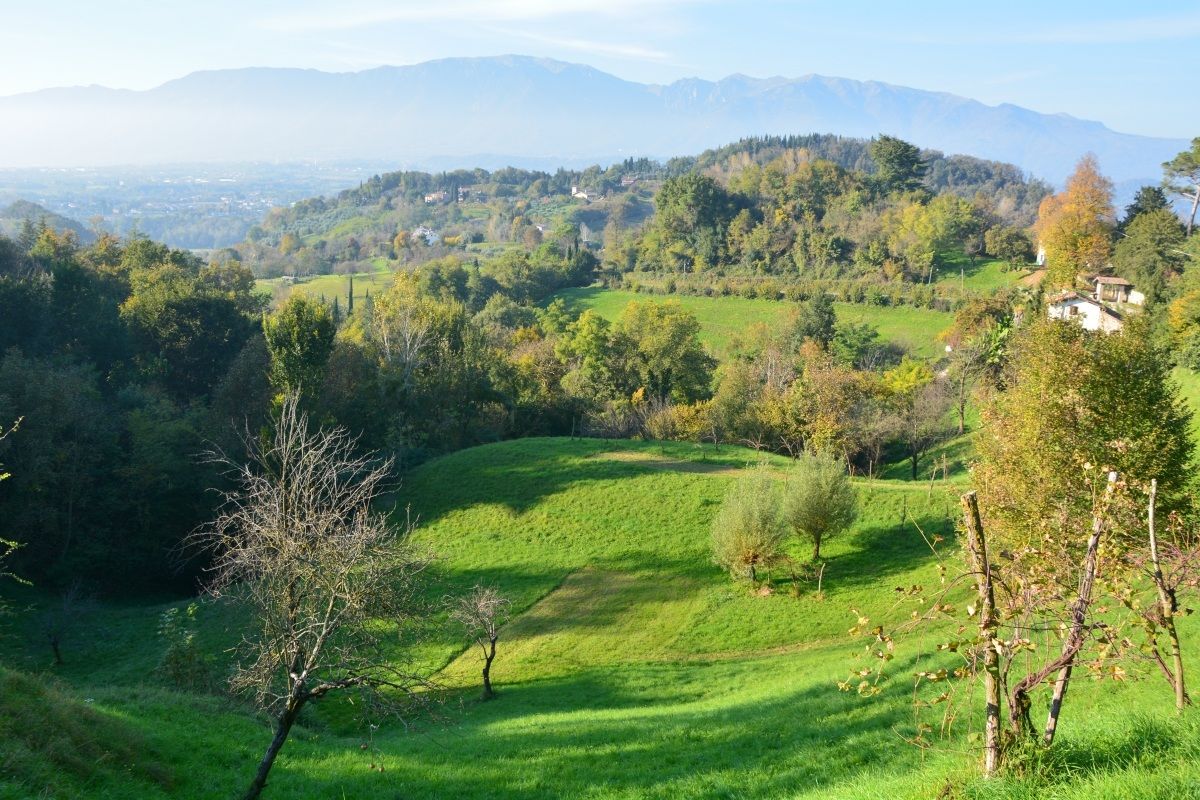 Asolo hills