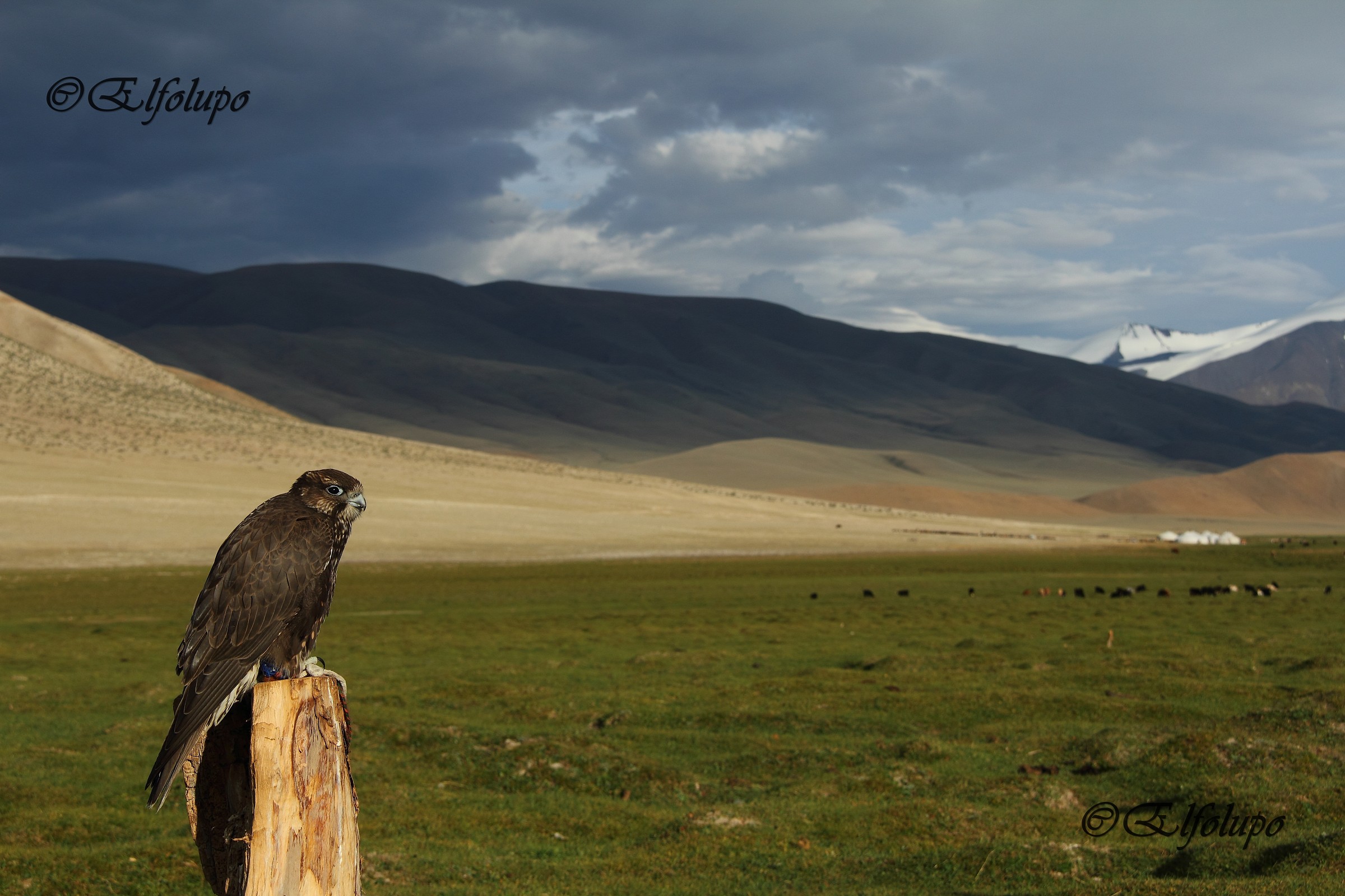 Aspettando la pioggia