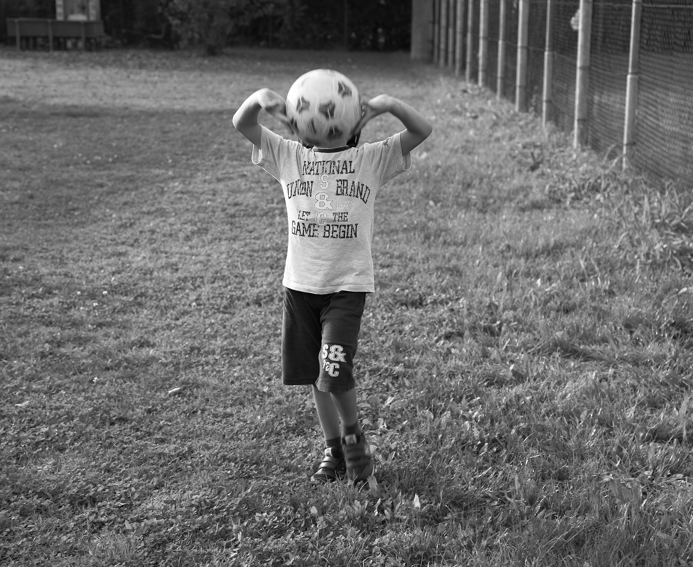 La testa nel pallone.