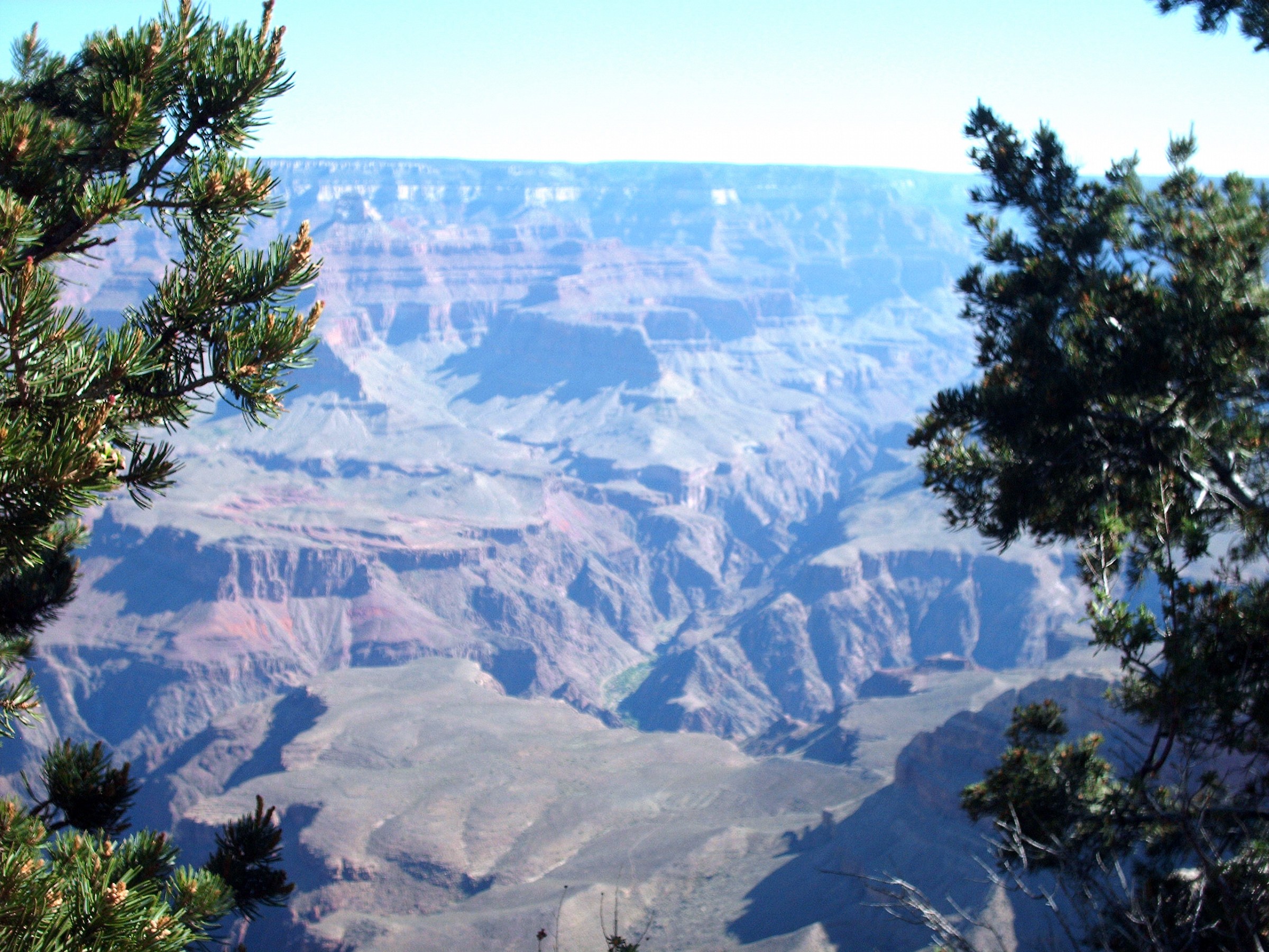 Visuale albertata del Grand Canyon