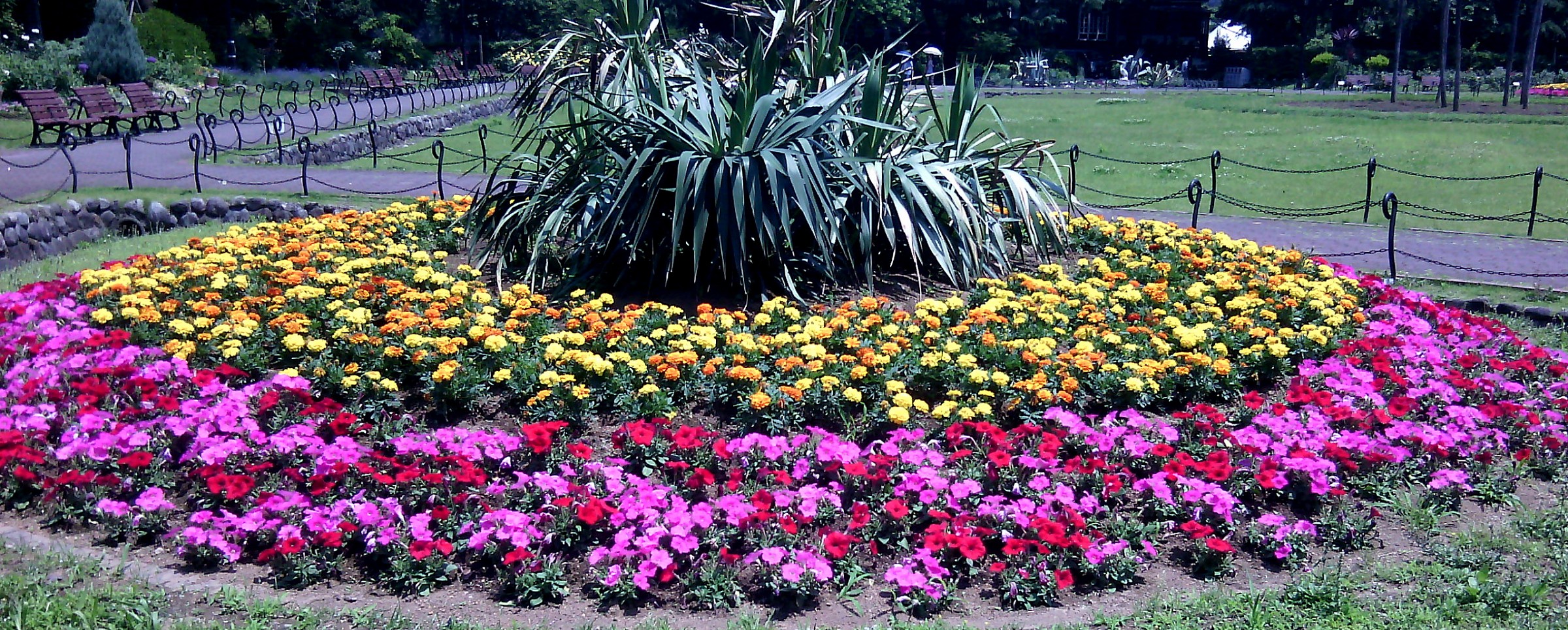 Giardino fiorato a Tokyo